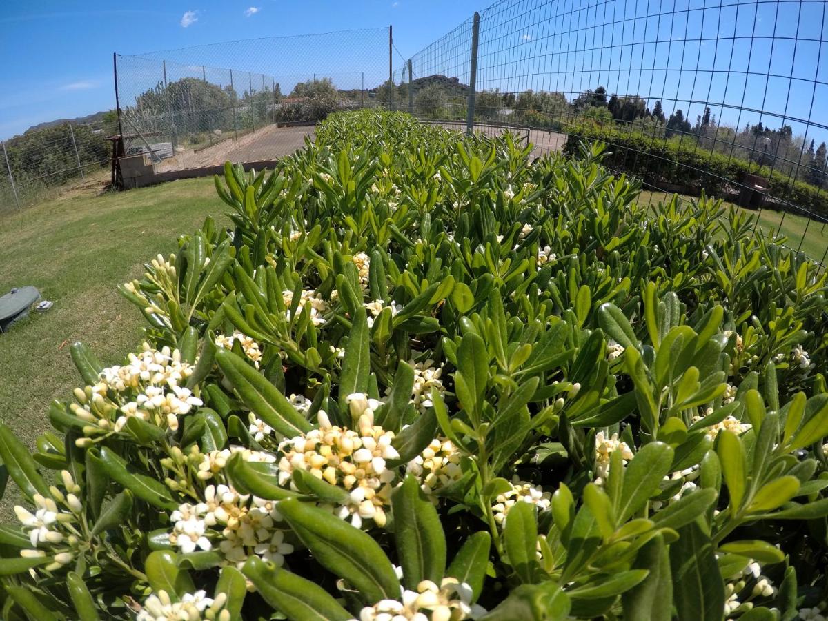 Al Sole Di Pula photo 2