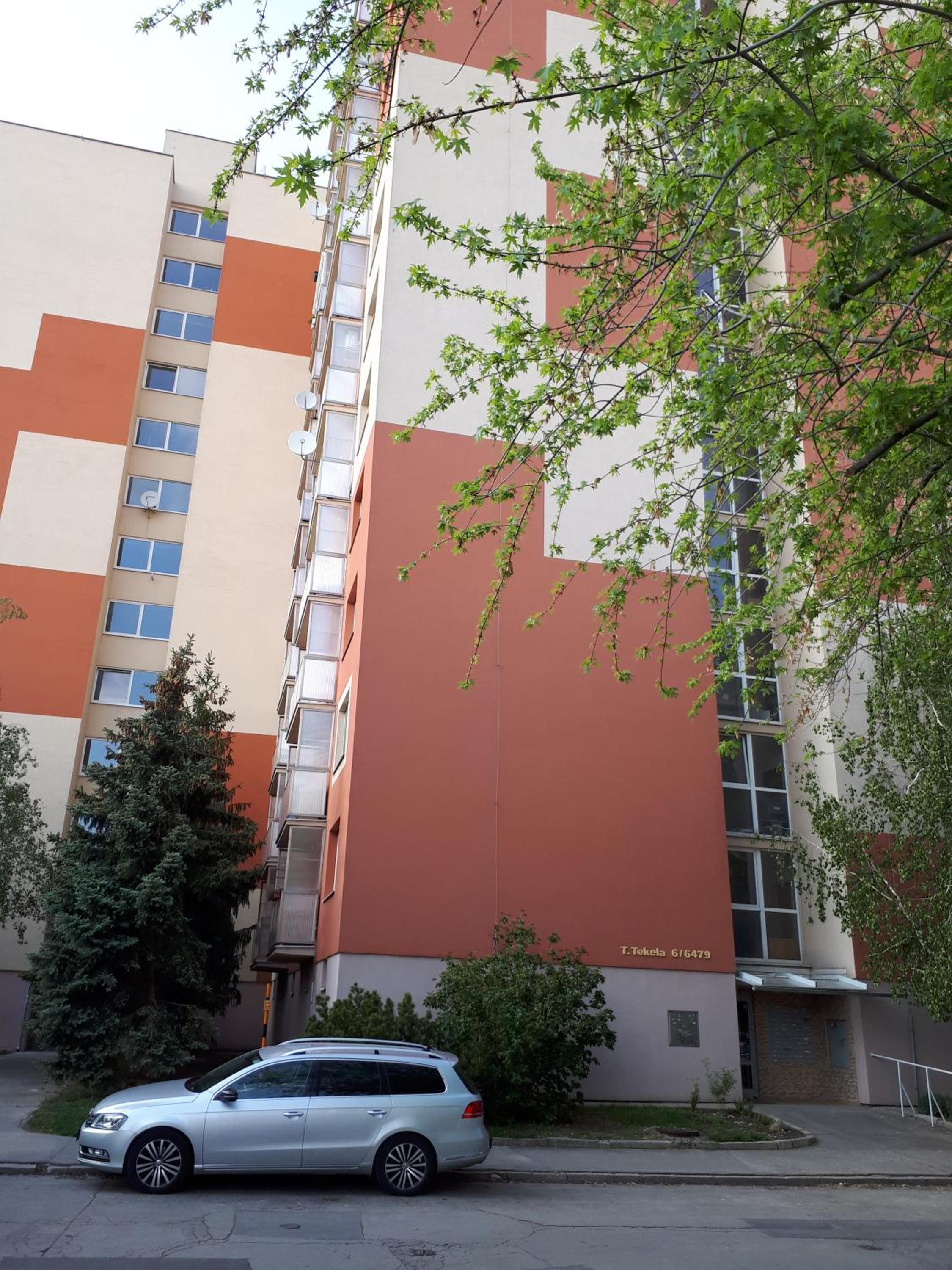 Photo 19