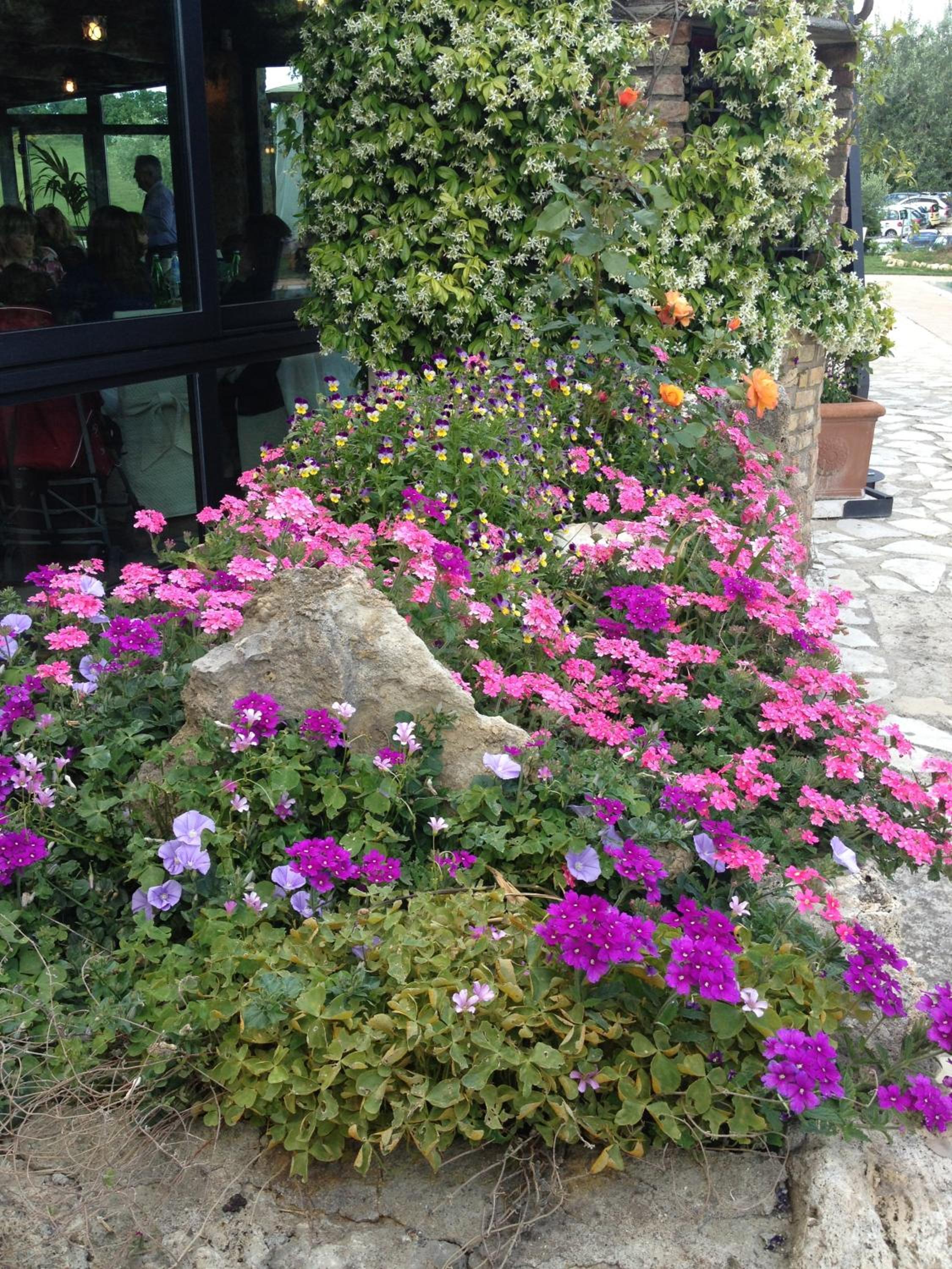 Agriturismo Campo Antico - Property Image 17