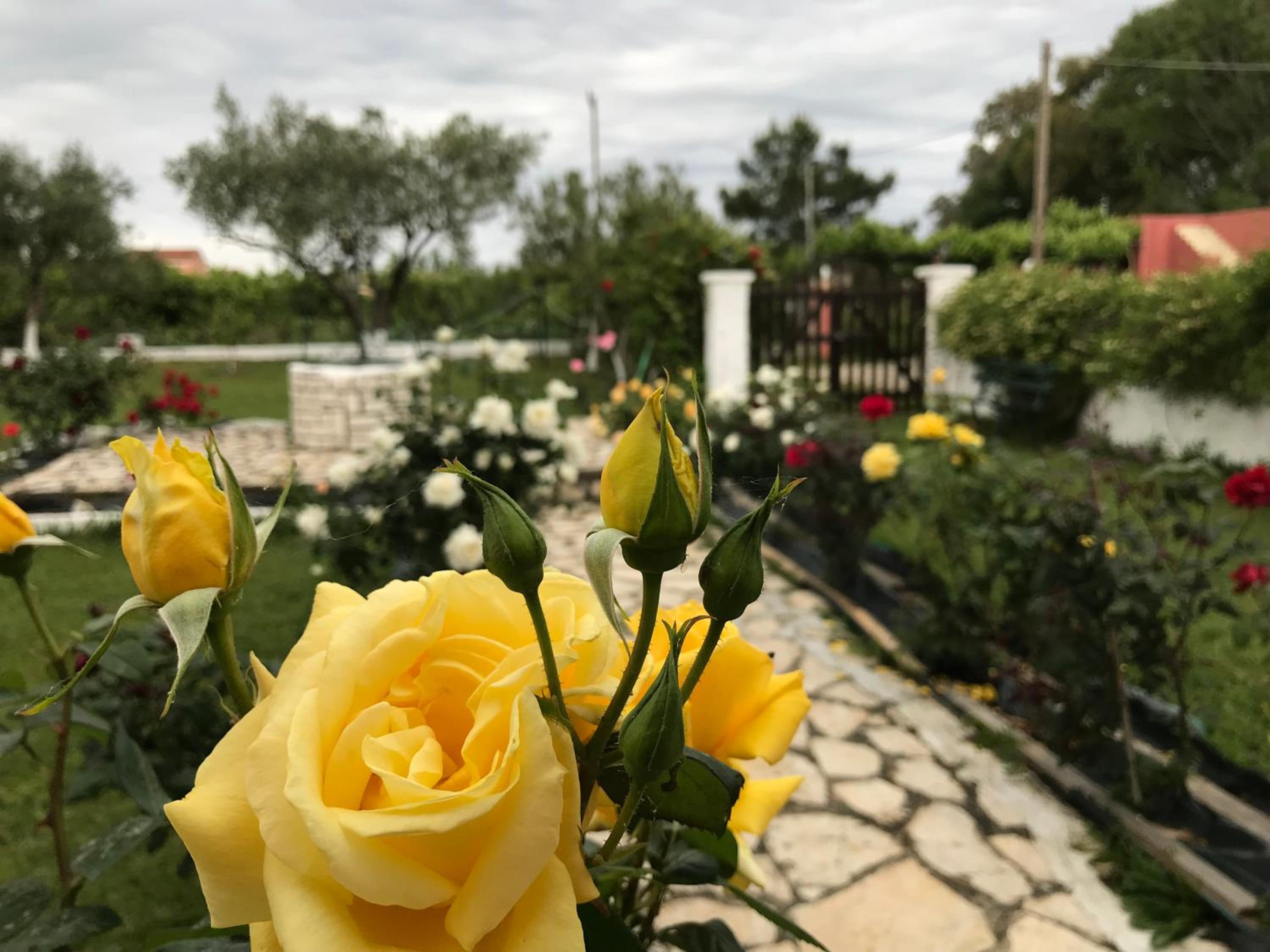 Yiouli Holiday Home view 3