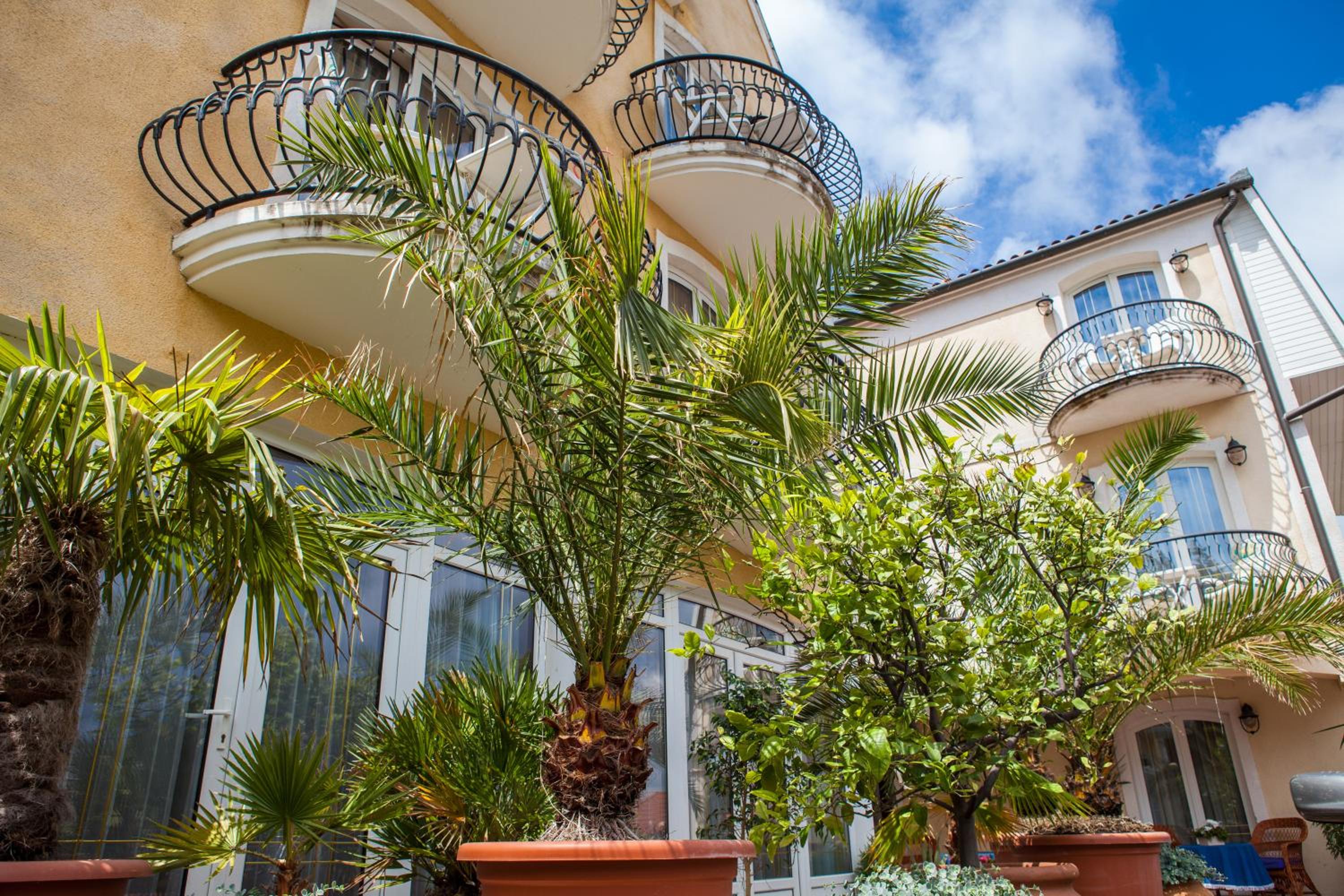 Villa Mediterran view 5