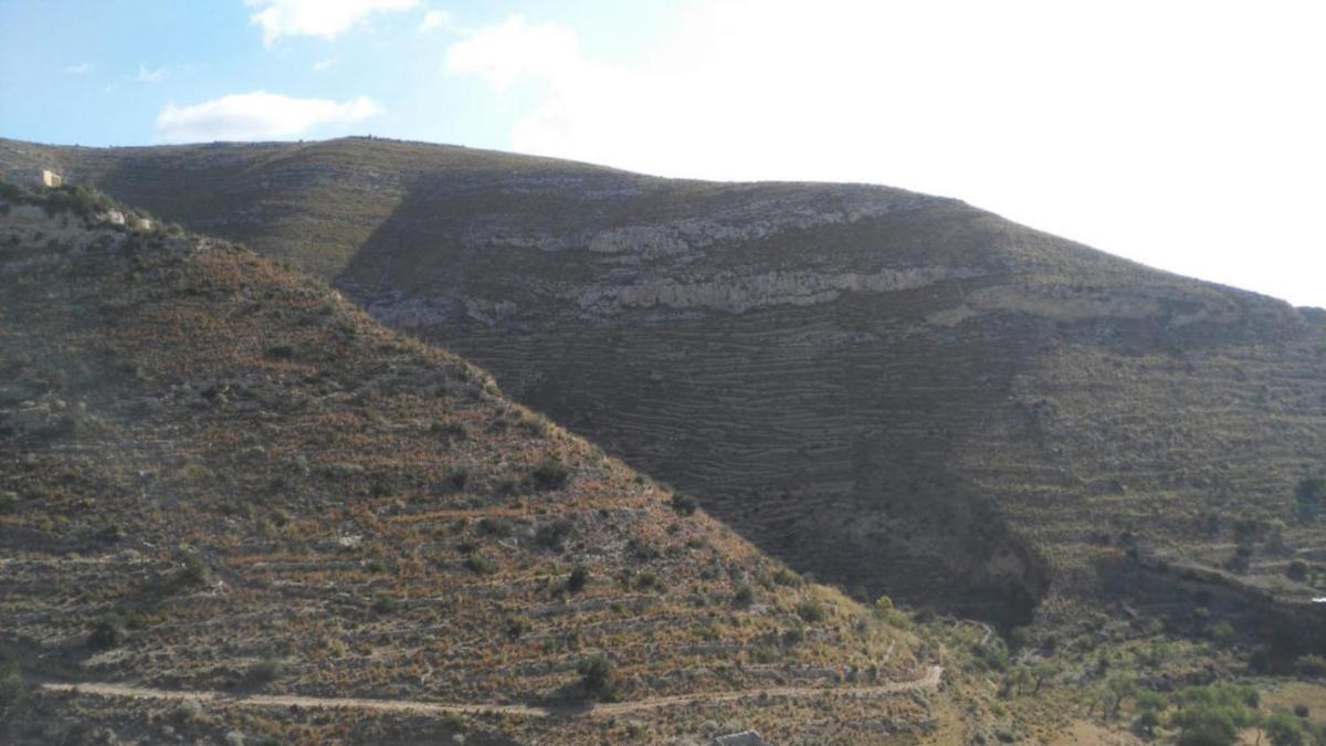 Photo 21