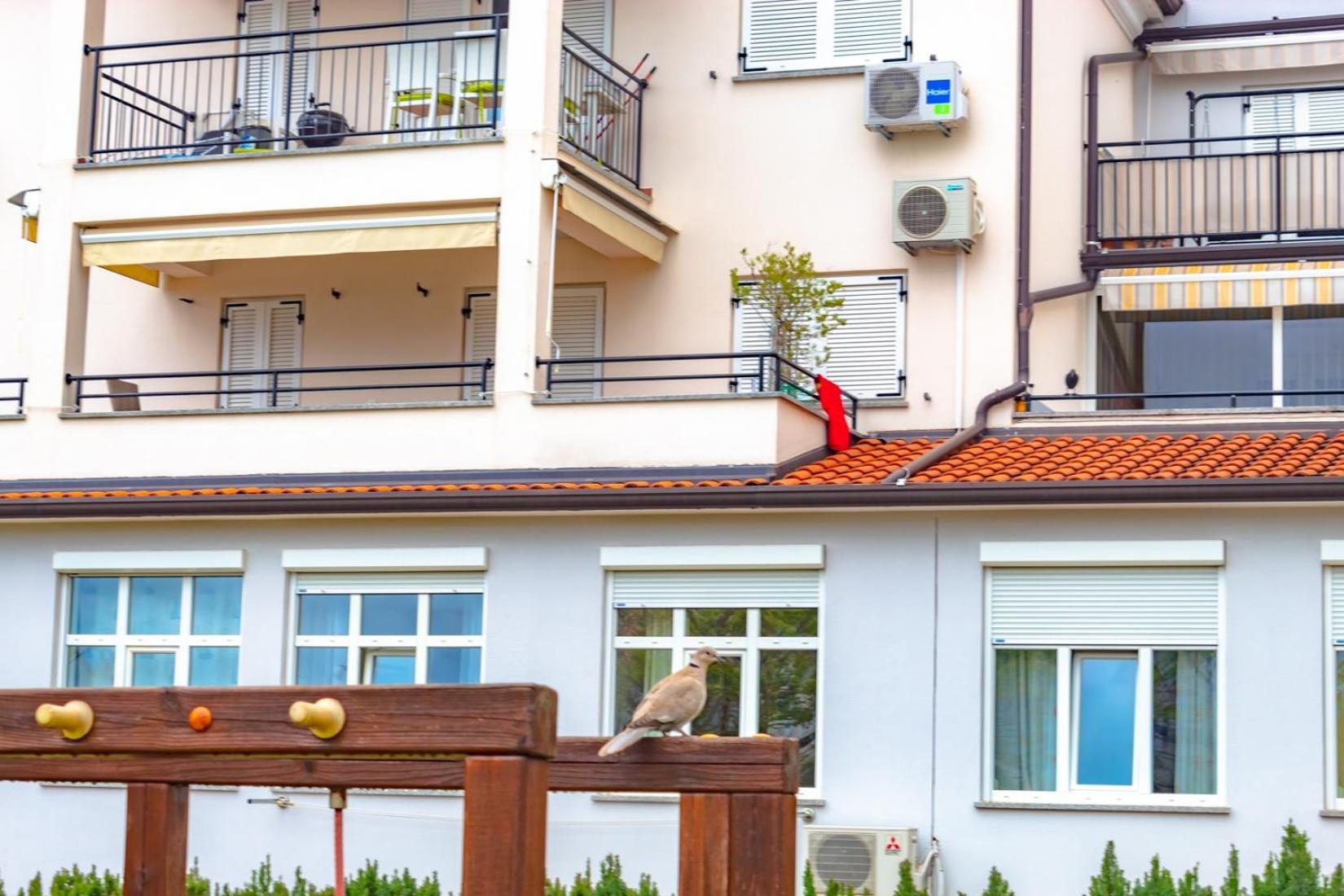 Apartment Botic - Property Image 54