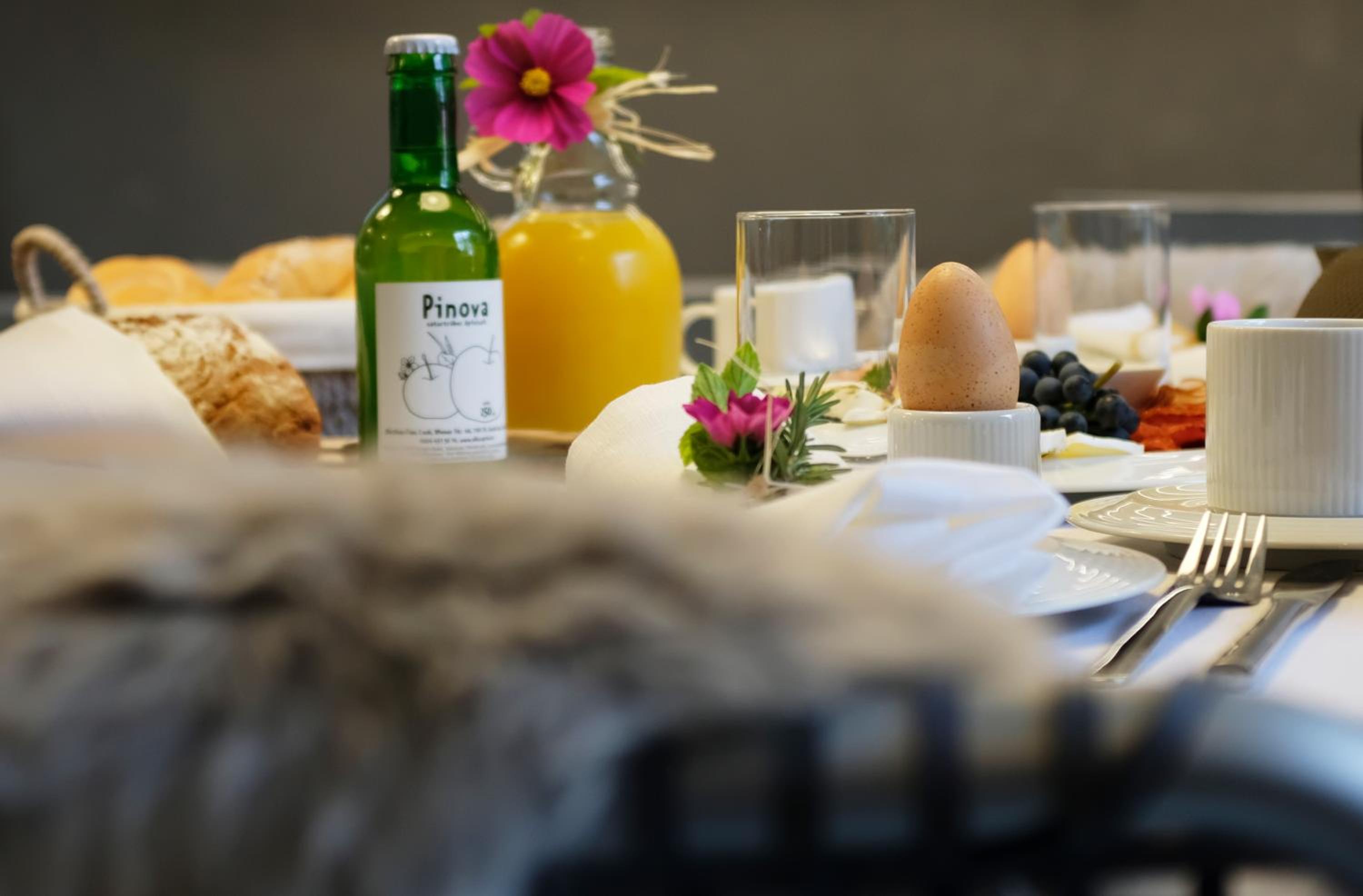 Auszeit Koppi