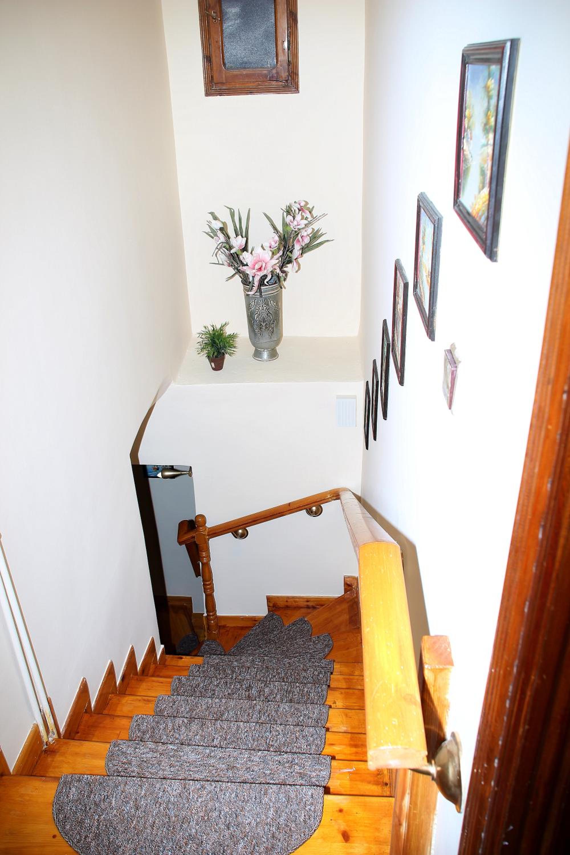 VILLA OLGA