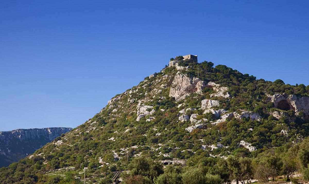 Photo 41