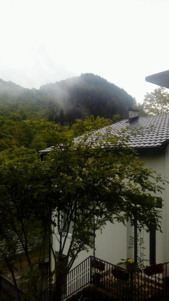 Anur Apartment