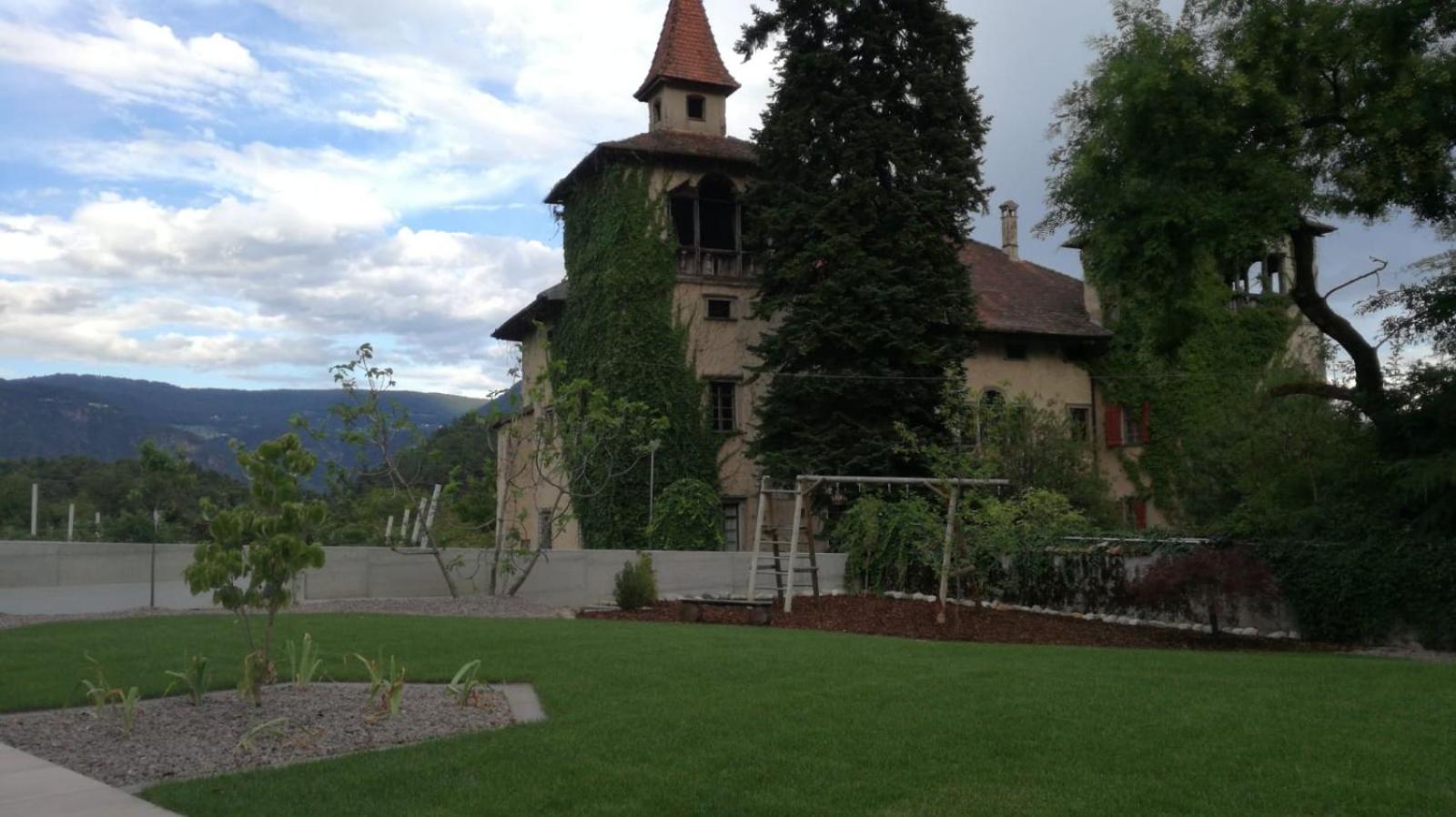 Photo 6