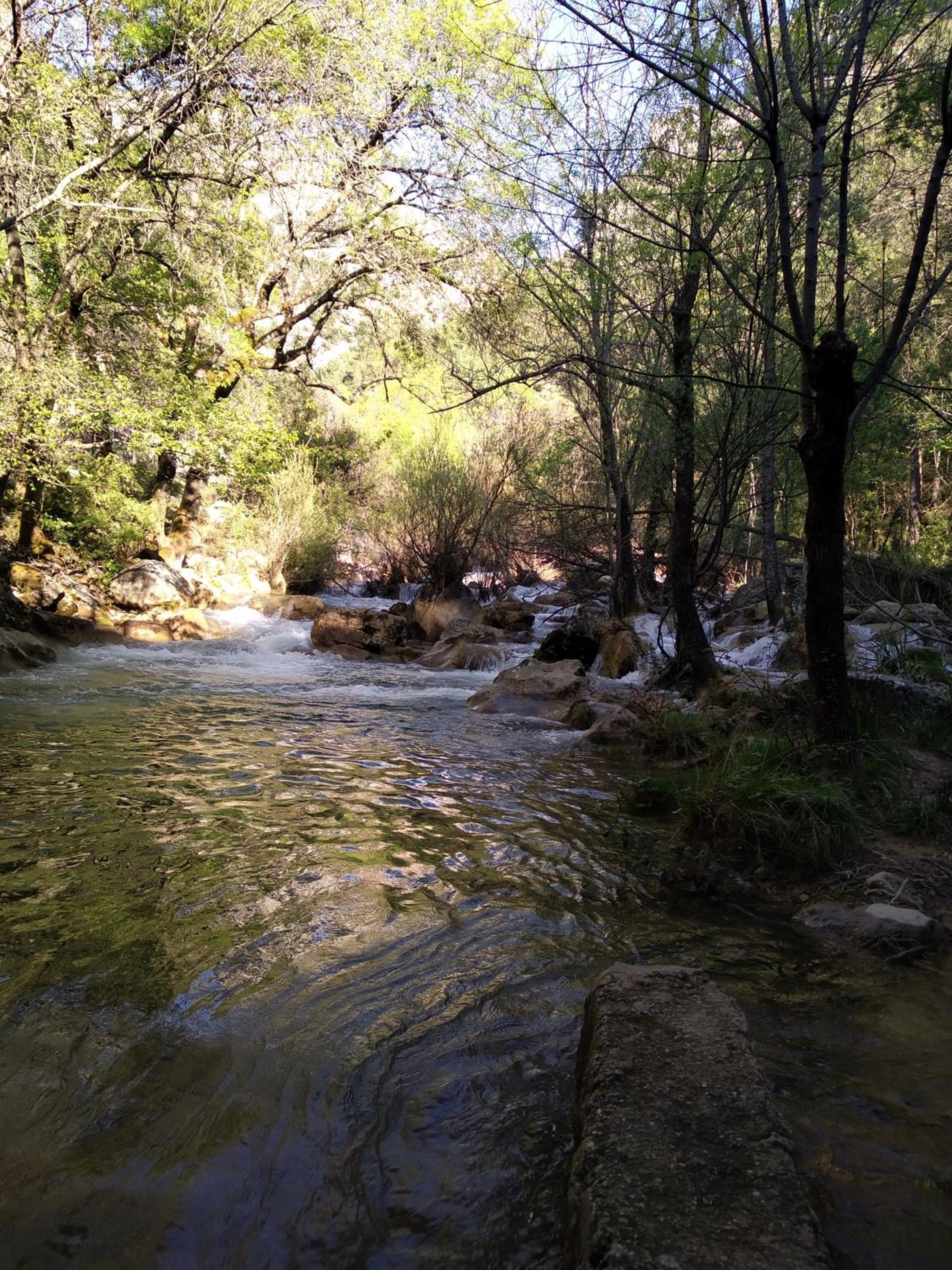 Alojamientos Rural Tejerina view 3