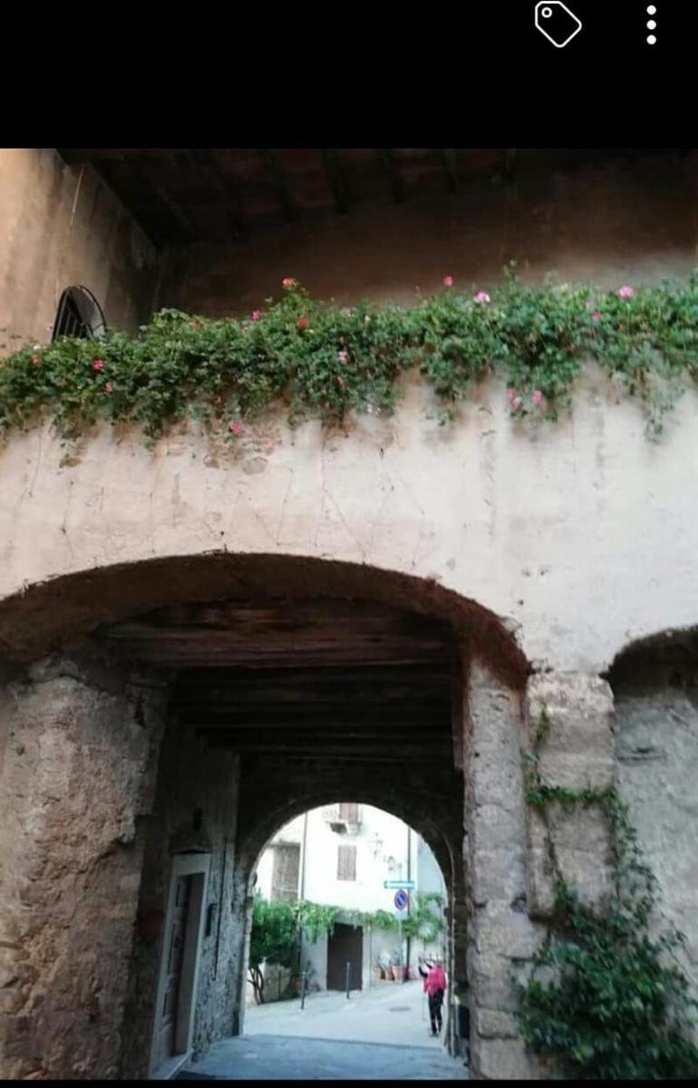 Photo 35