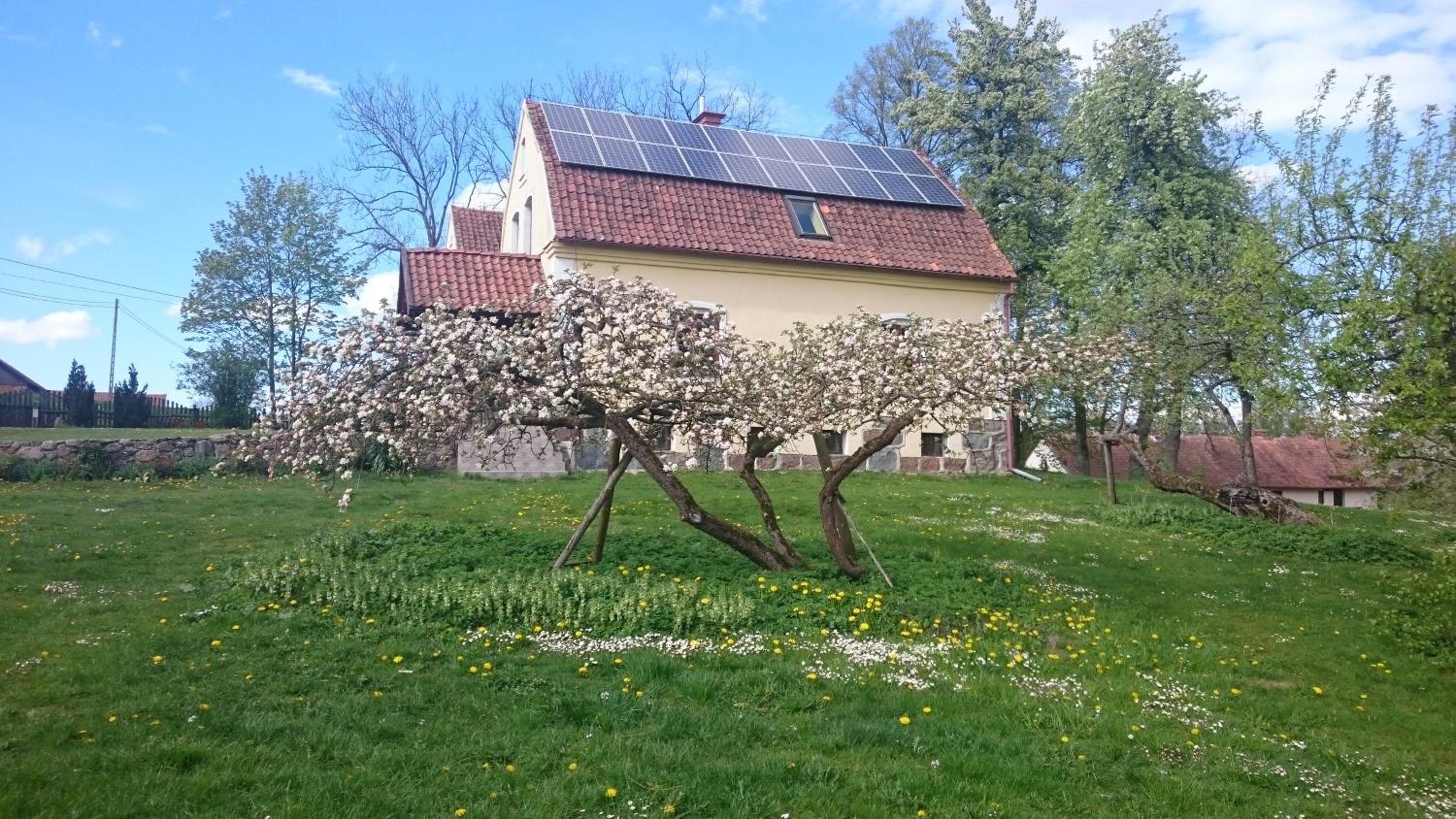 Photo 12