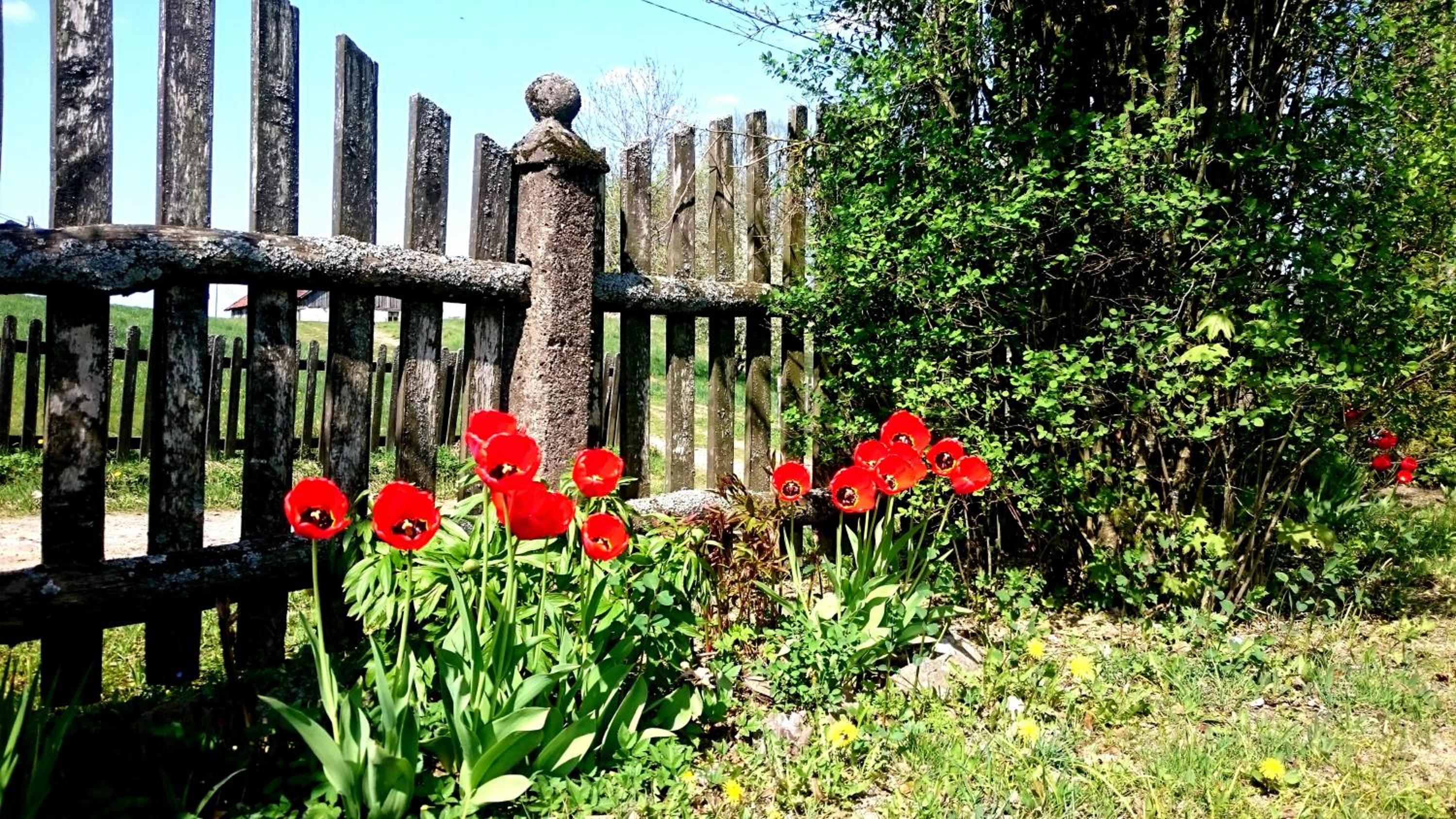Photo 7