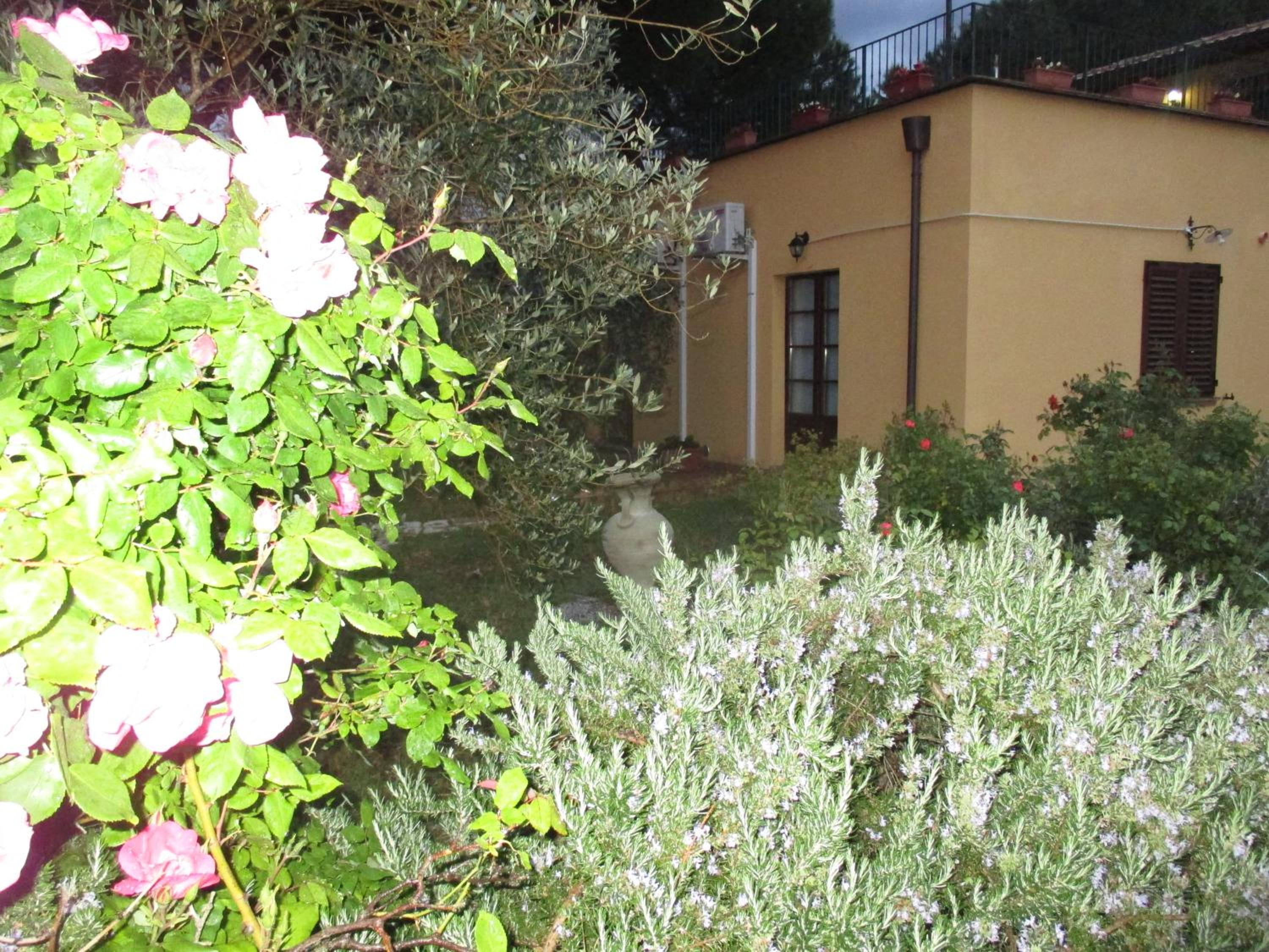 Photo 38