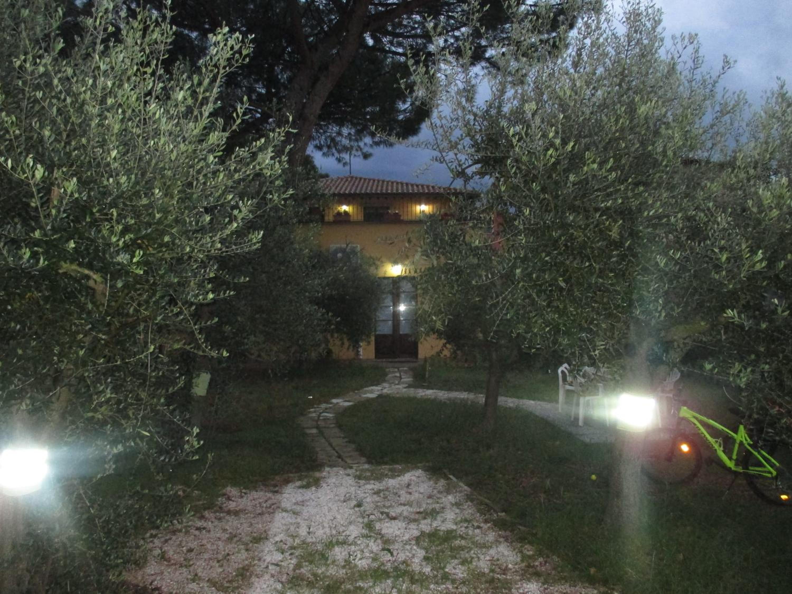 Photo 37