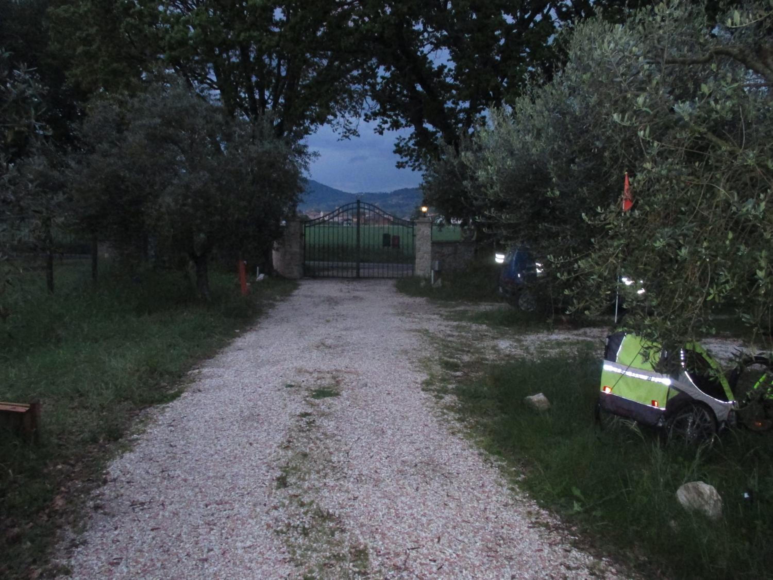 Photo 28