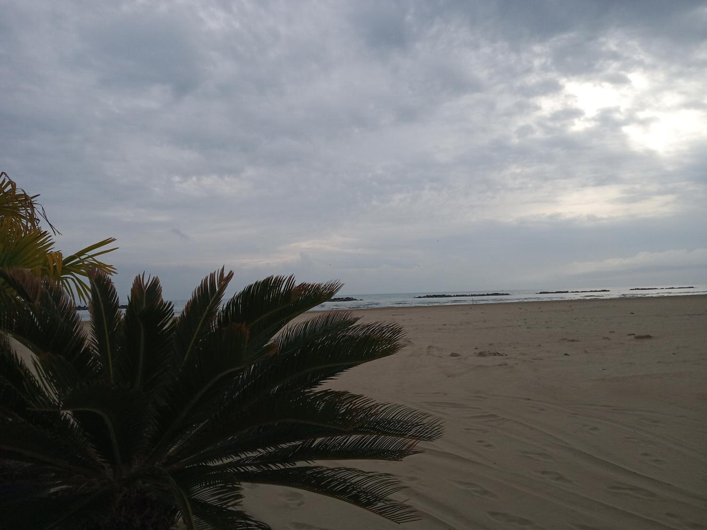 Photo 40