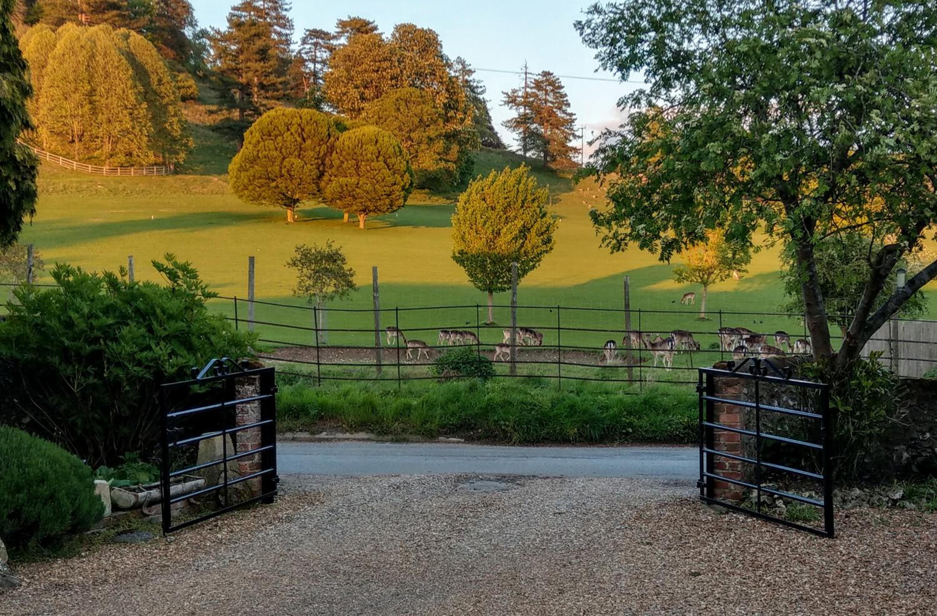 White Pond Farm view 2