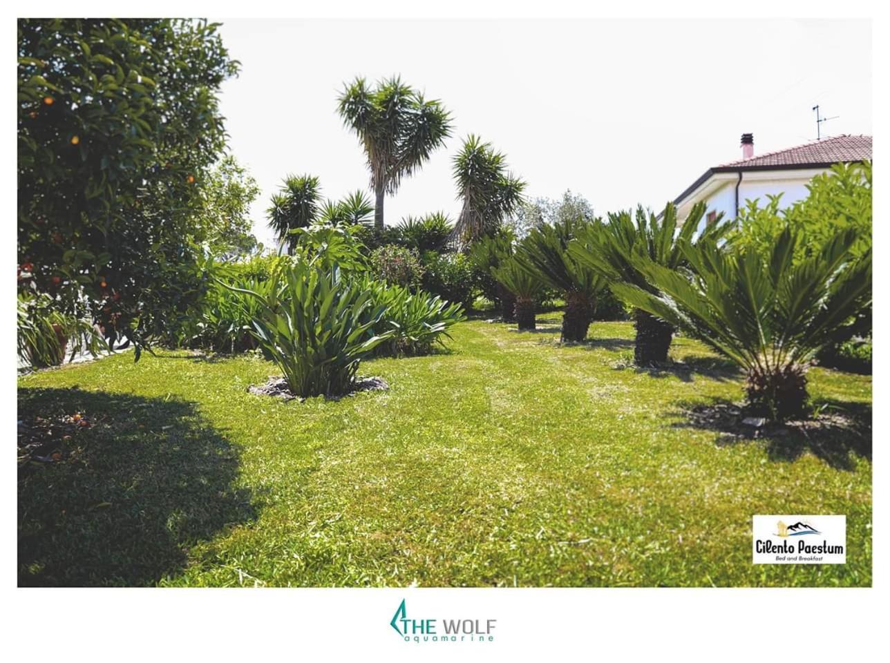 B&b Cilento Paestum photo 4