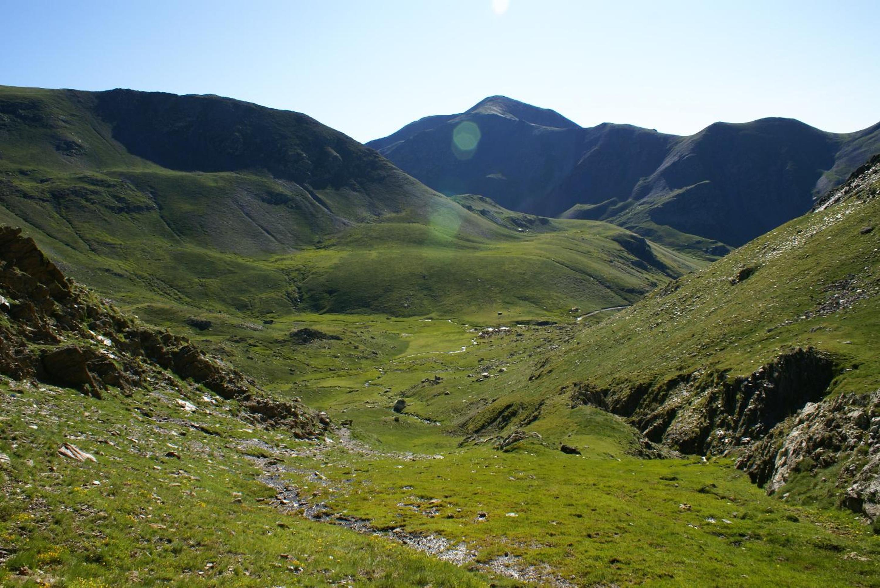 Photo 25