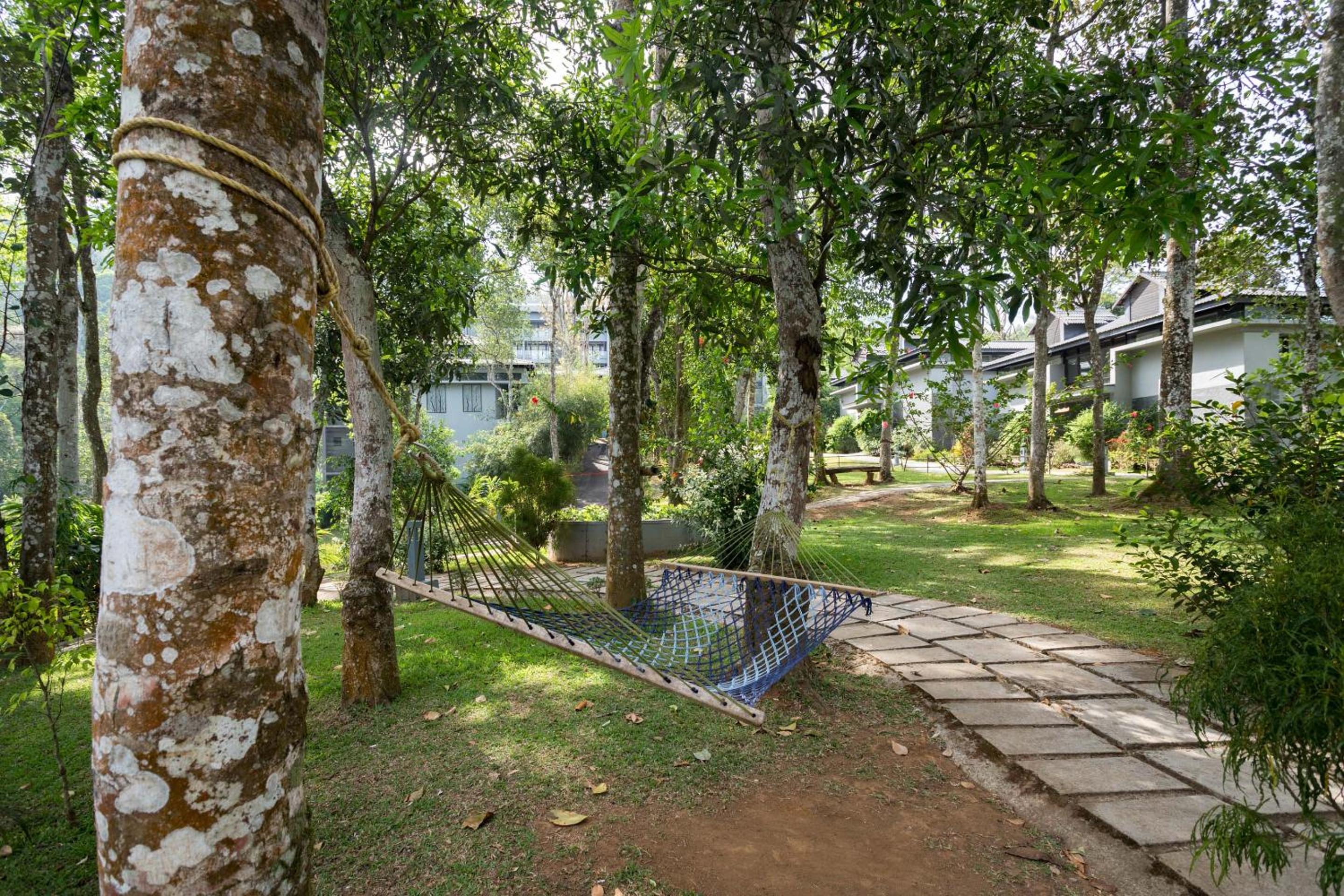 The Mountain Courtyard Thekkady