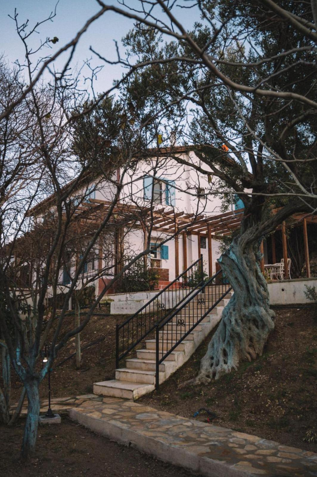 Photo 13
