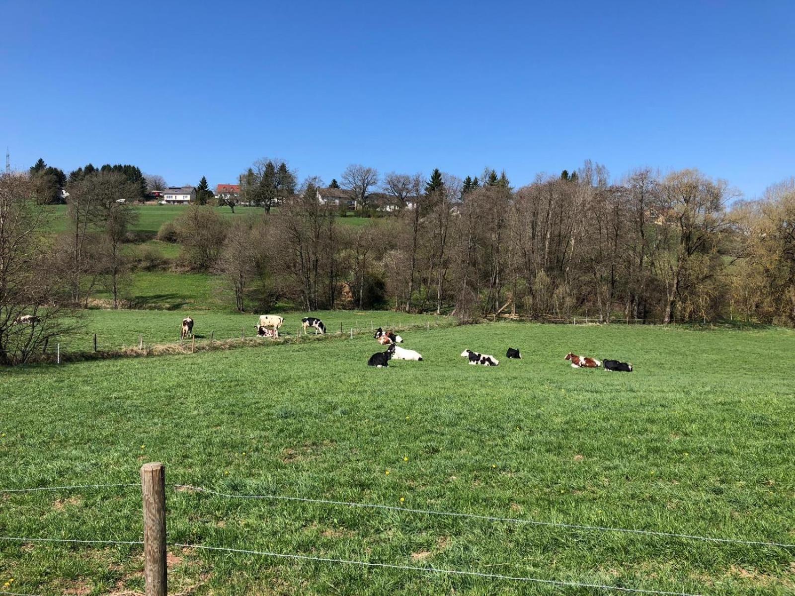 Eifelwolke