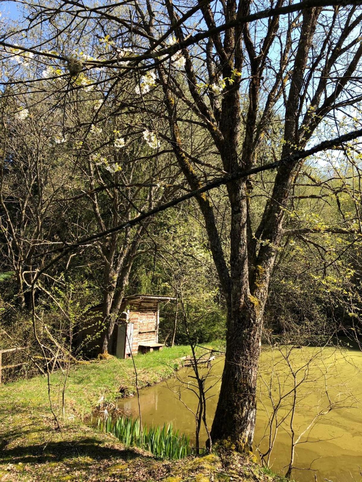 Eifelwolke
