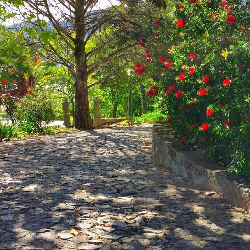 Quinta da Ermida - Turismo de Habitacao