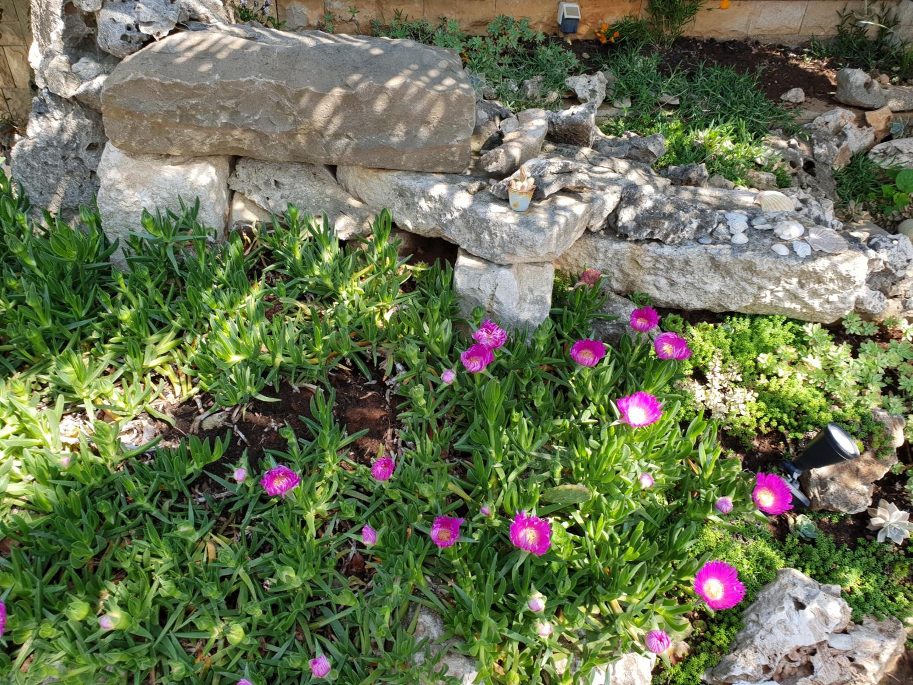 Luxury apartment Marin - summer paradise, terrace, garden, summer kitchen & barbecue, near the beaches, Istria view 5