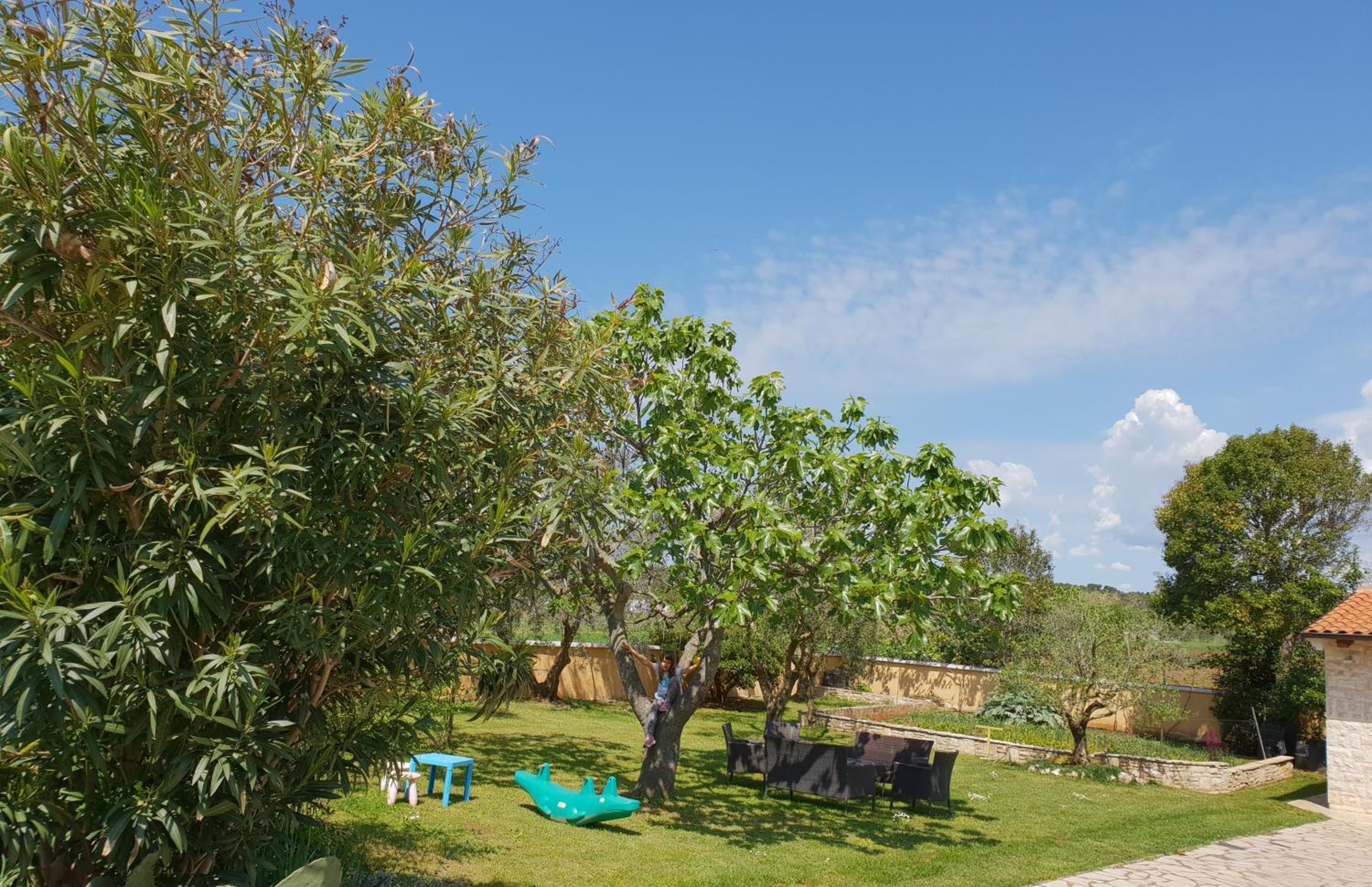 Luxury apartment Marin - summer paradise, terrace, garden, summer kitchen & barbecue, near the beaches, Istria view 3
