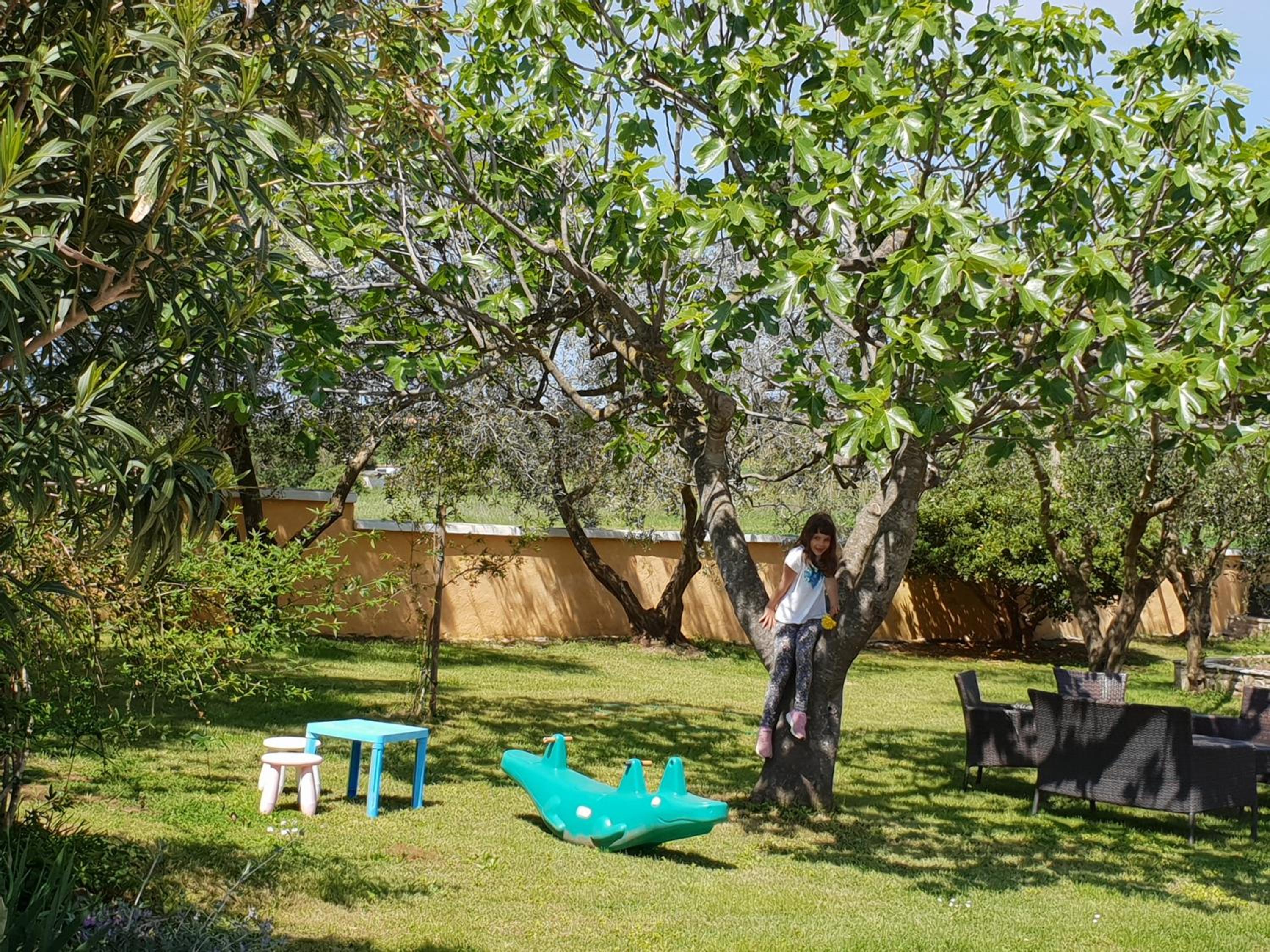 Photo 30