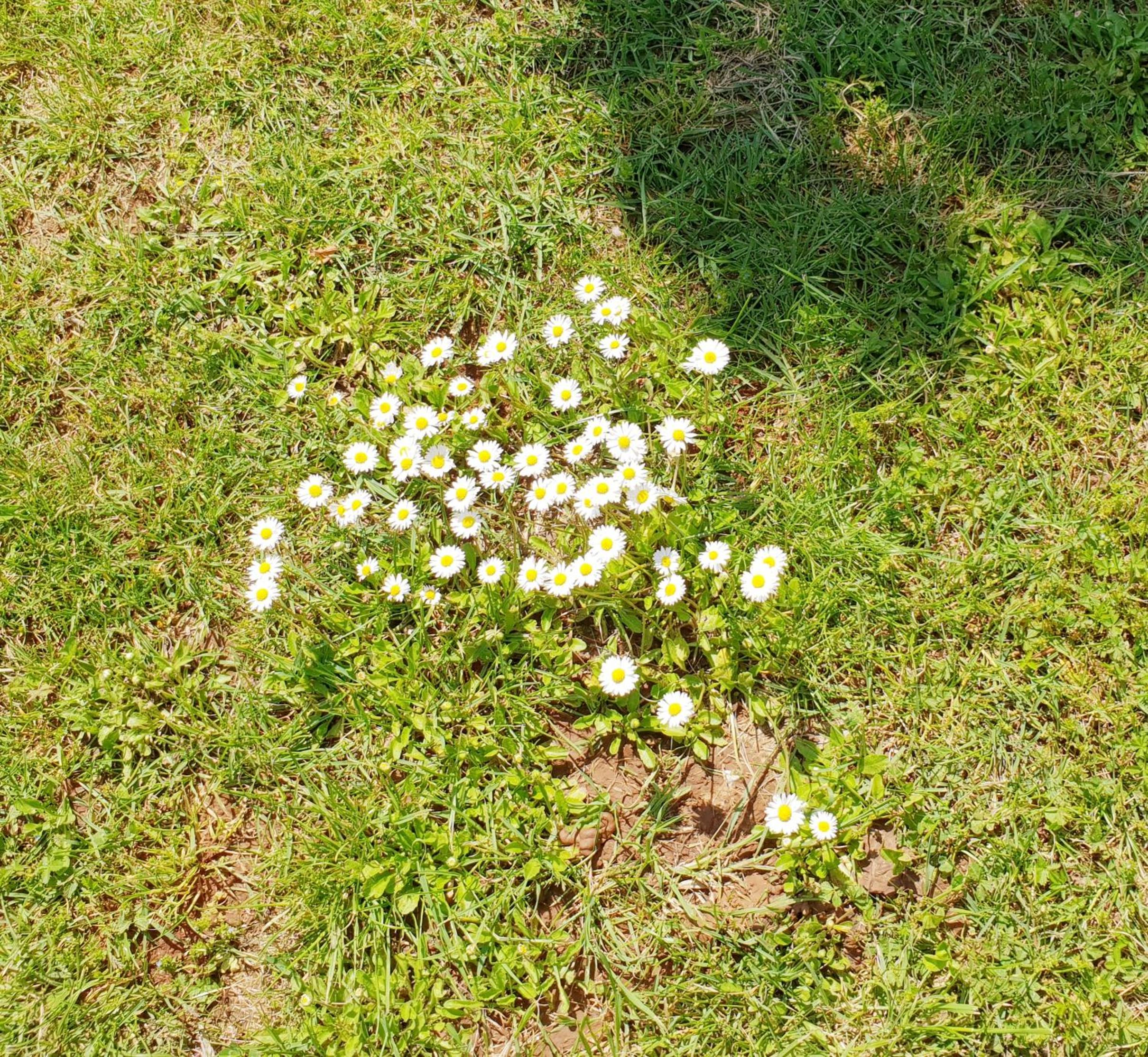 Photo 35