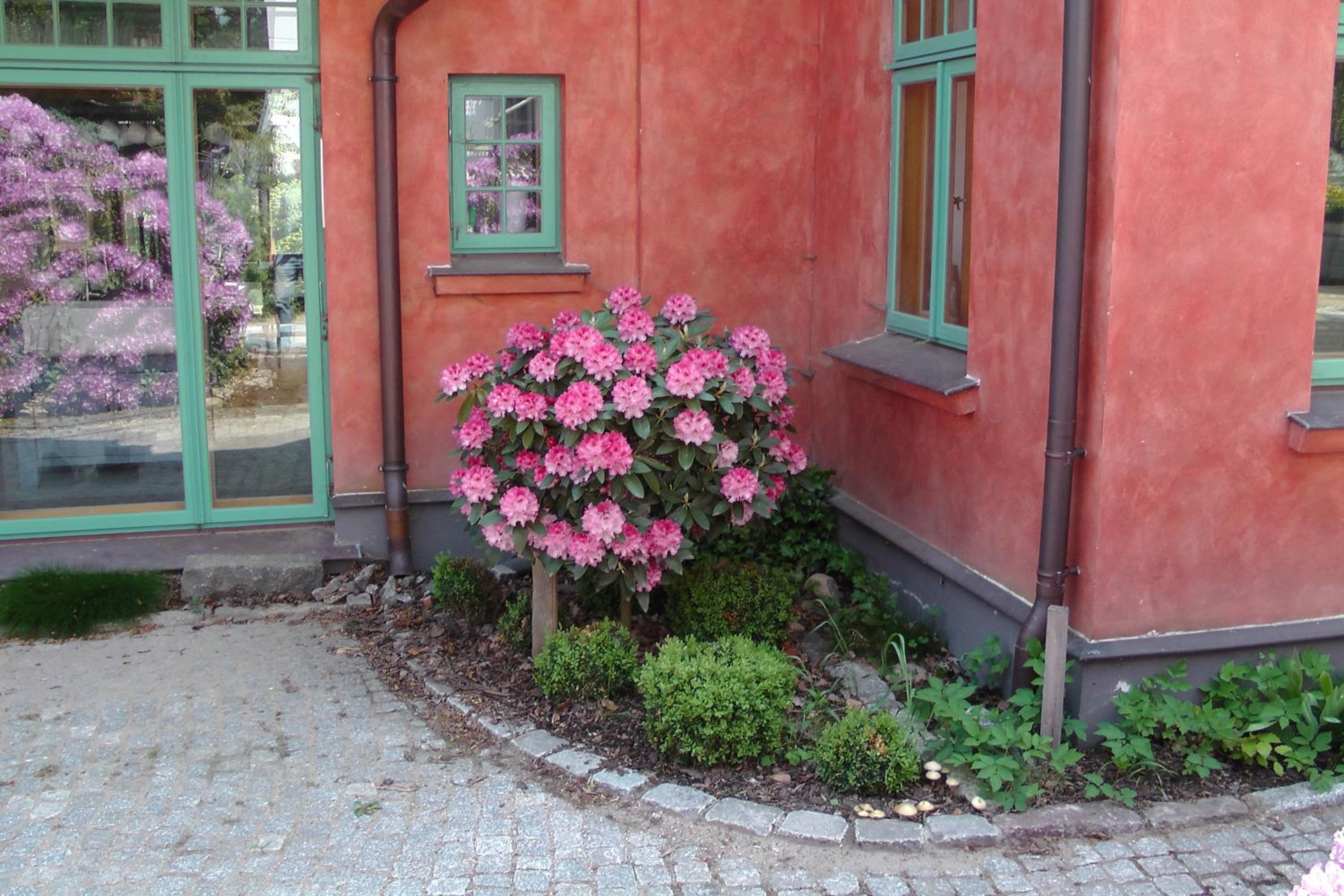 Ferienhaus am Wasserturm für 6 Erwachsene und 9 Kinder