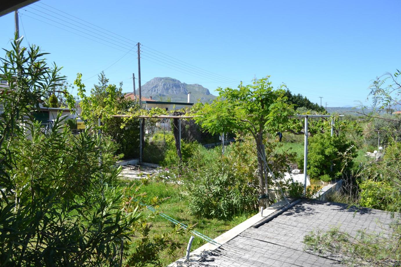 Photo 30