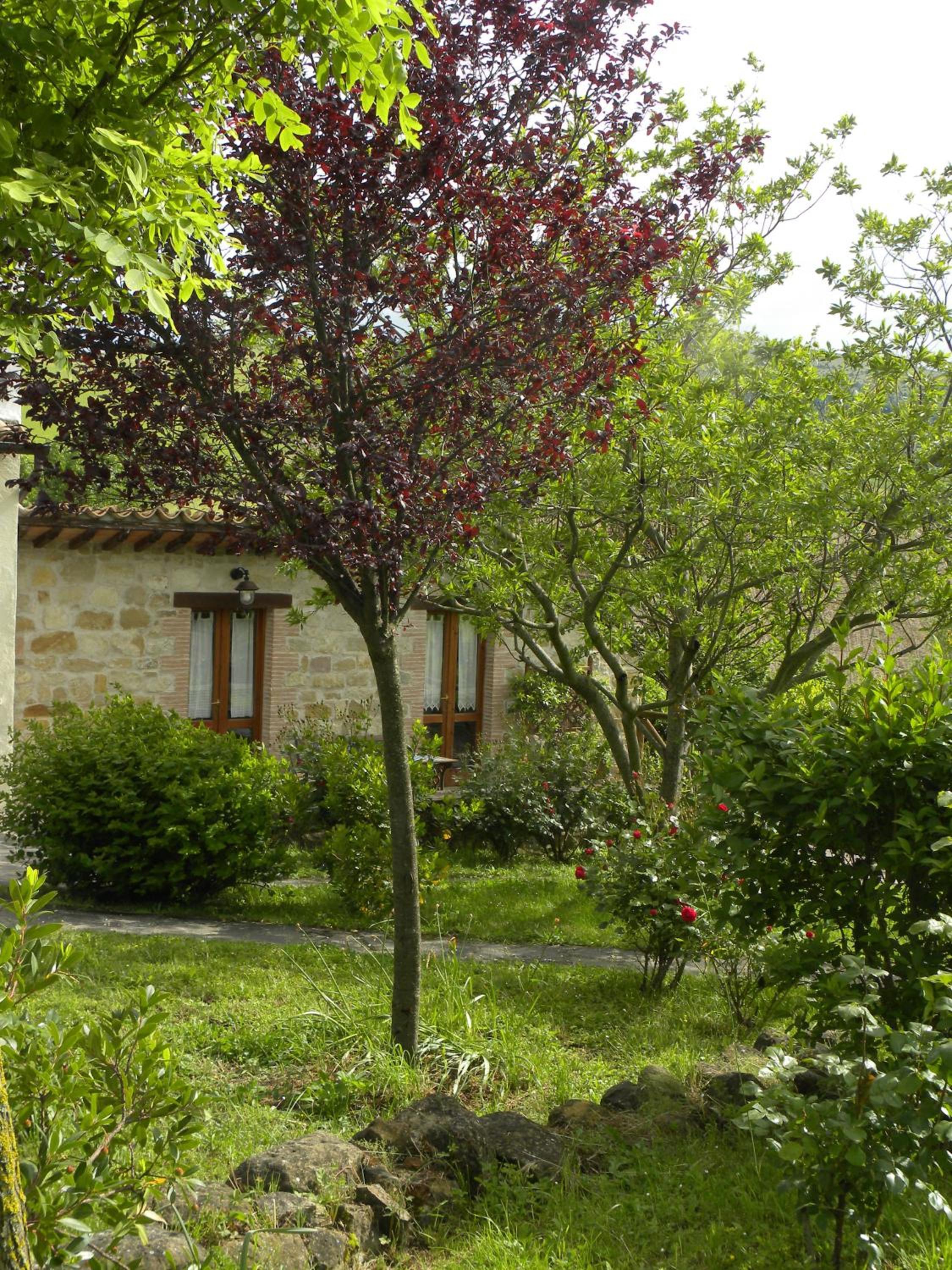 B&B Caselunghe