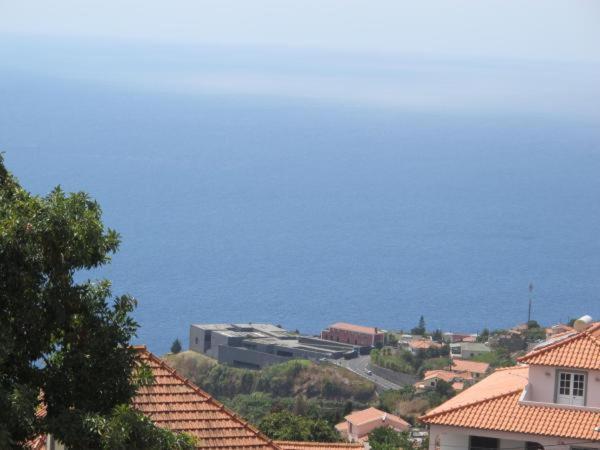 Hotel Madeira Blue House