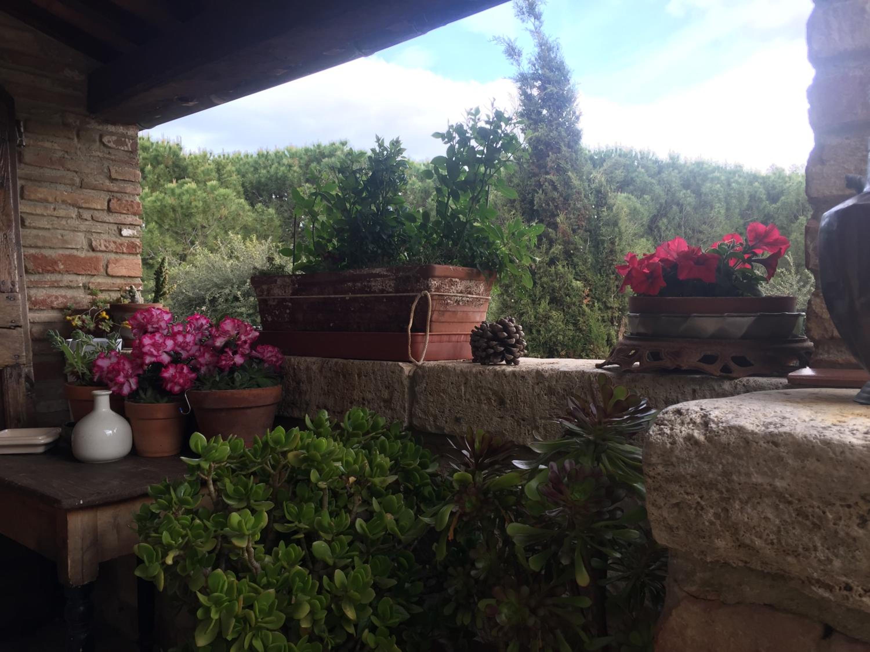 La Vittoria 10 – La Soglia della Val d’Orcia