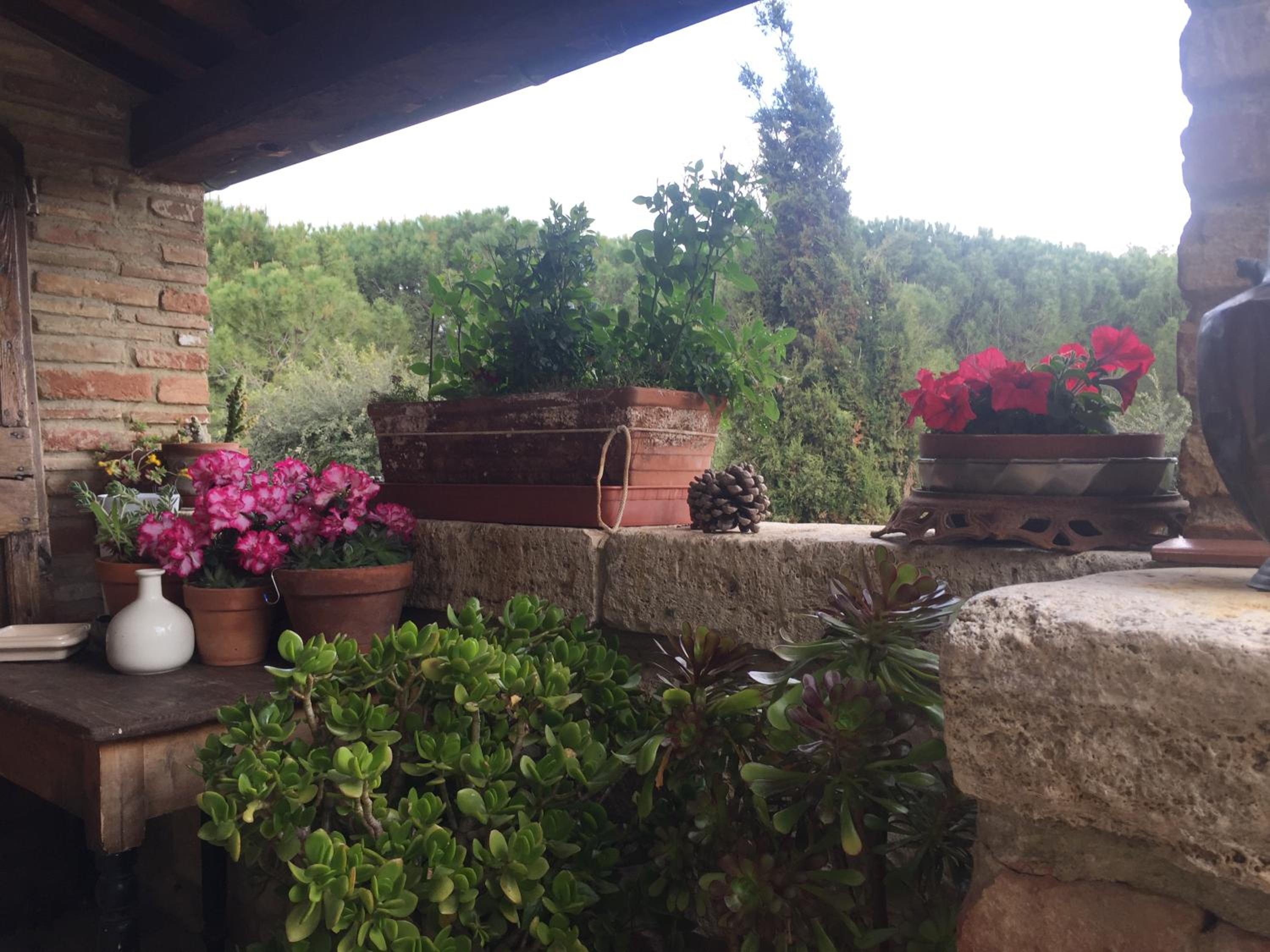 La Vittoria 10 – La Soglia della Val d’Orcia