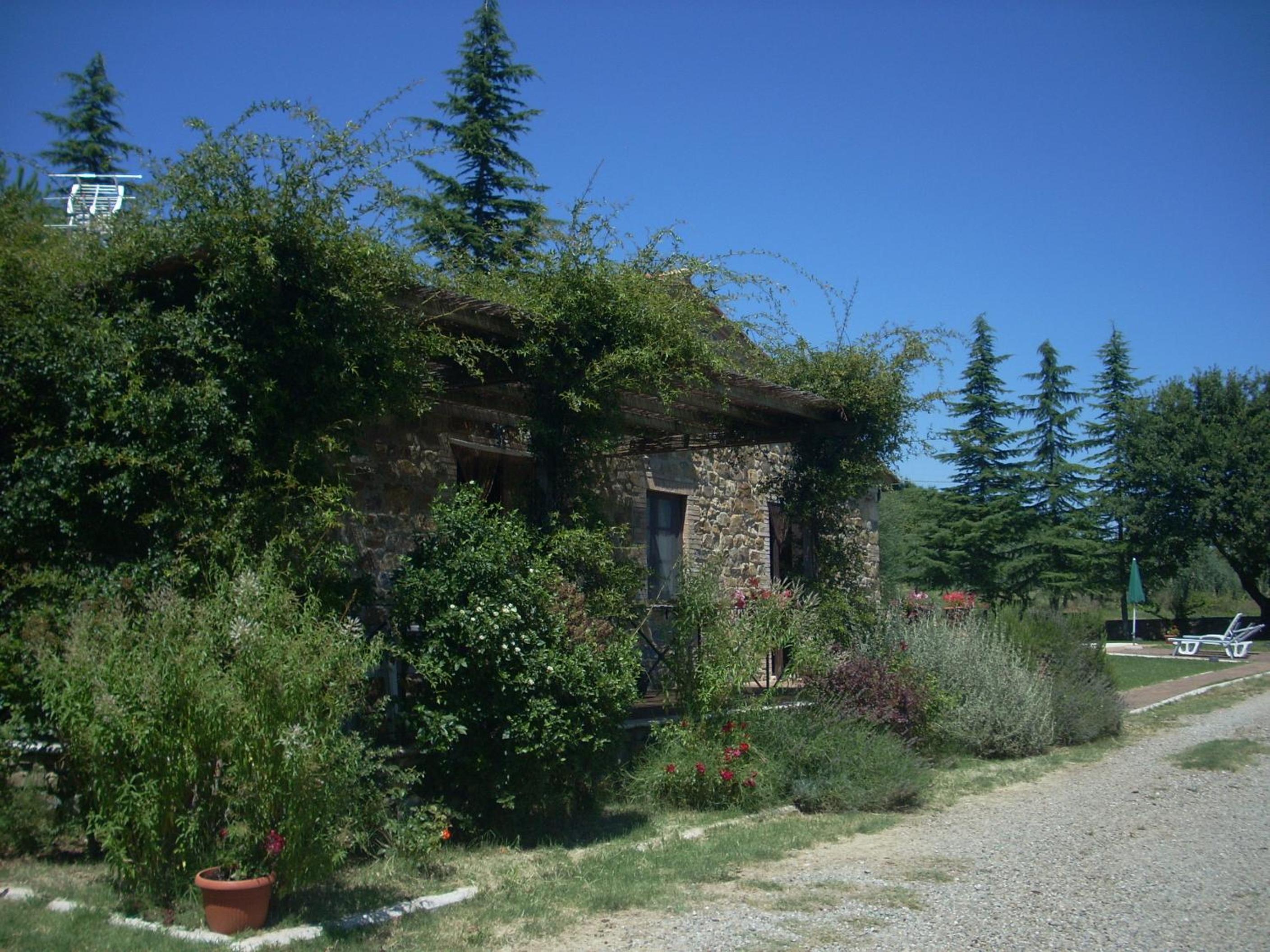 Photo 11