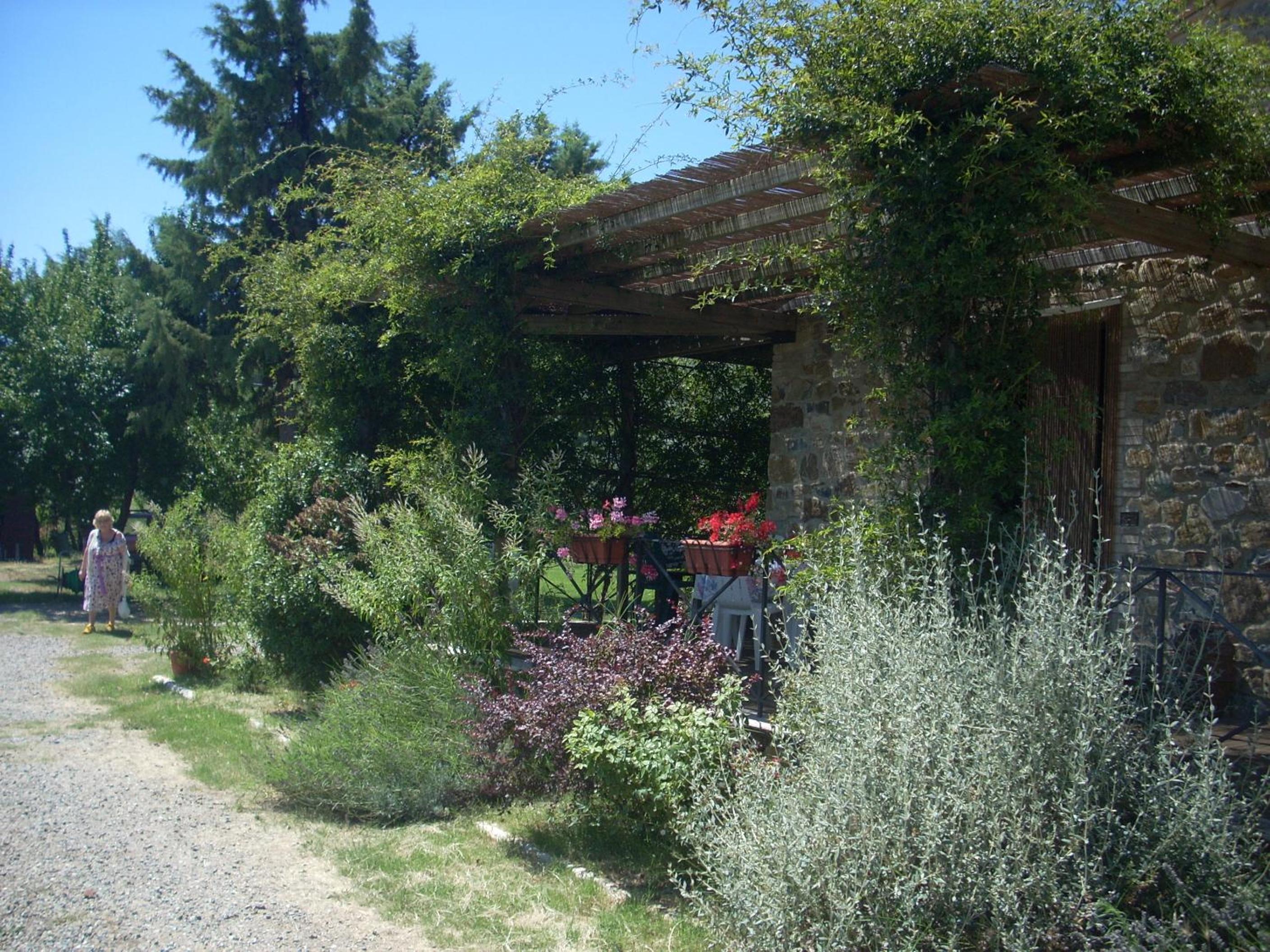 Photo 21