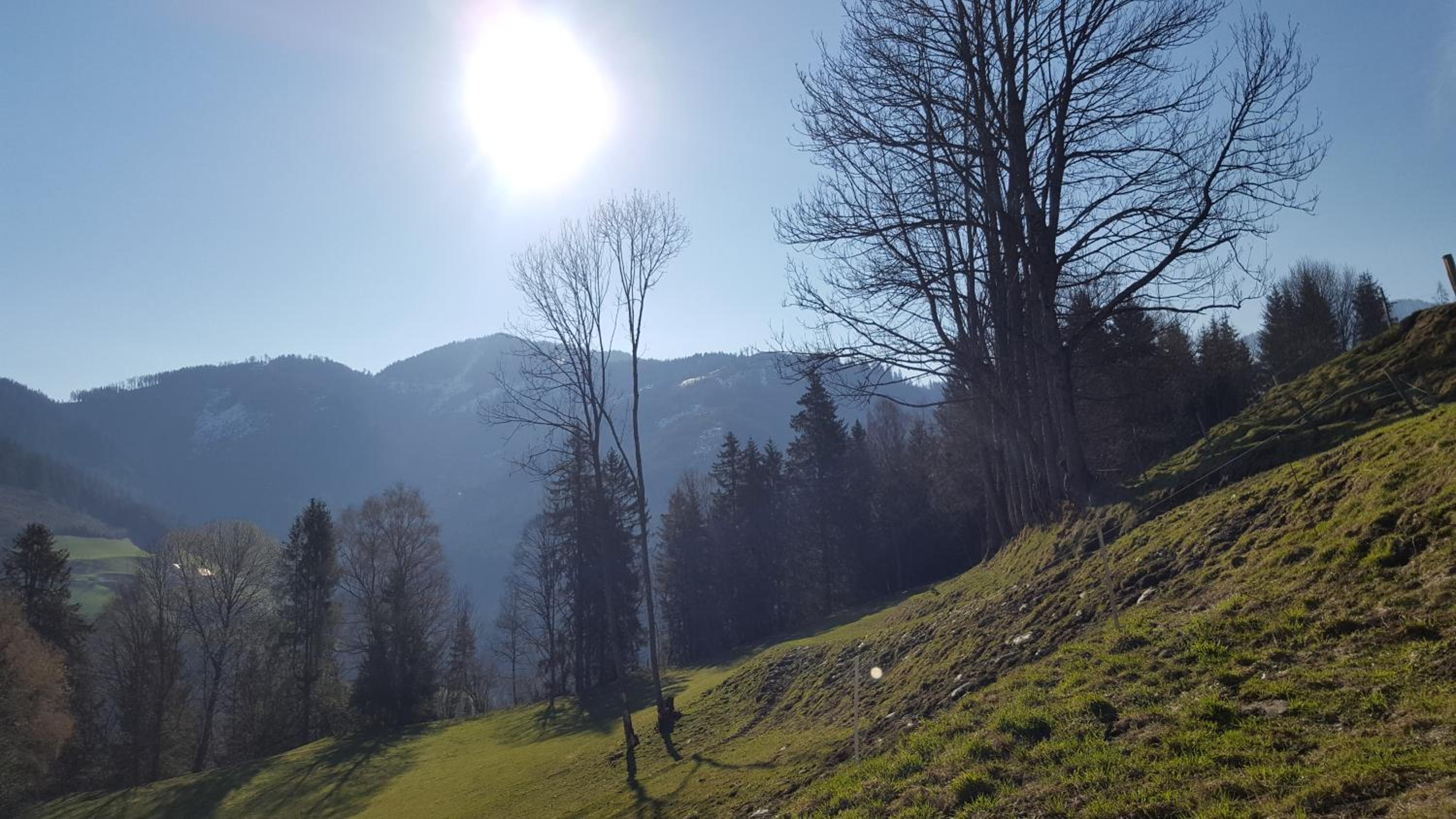 Kloiberhof