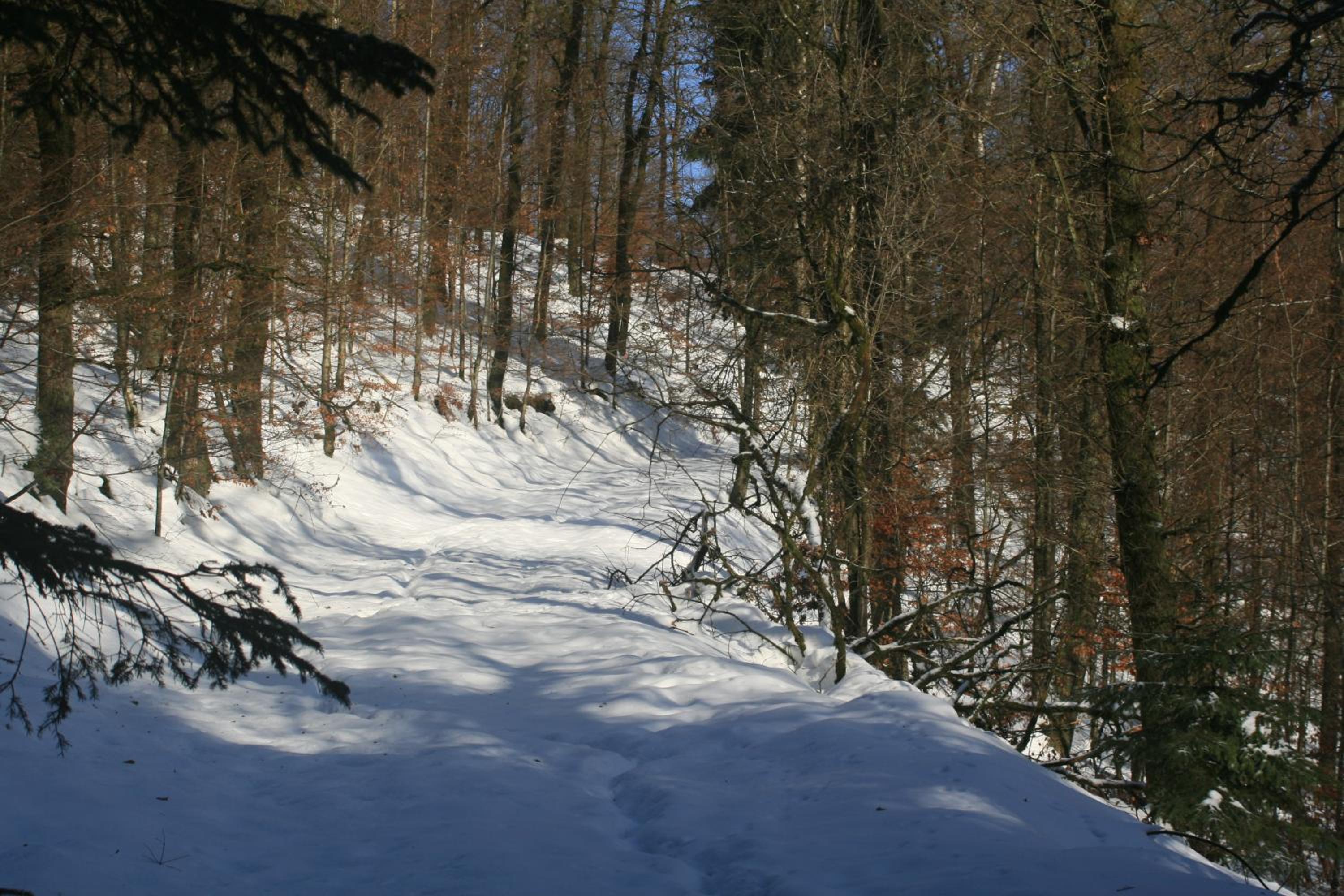 L'Eaubergerine