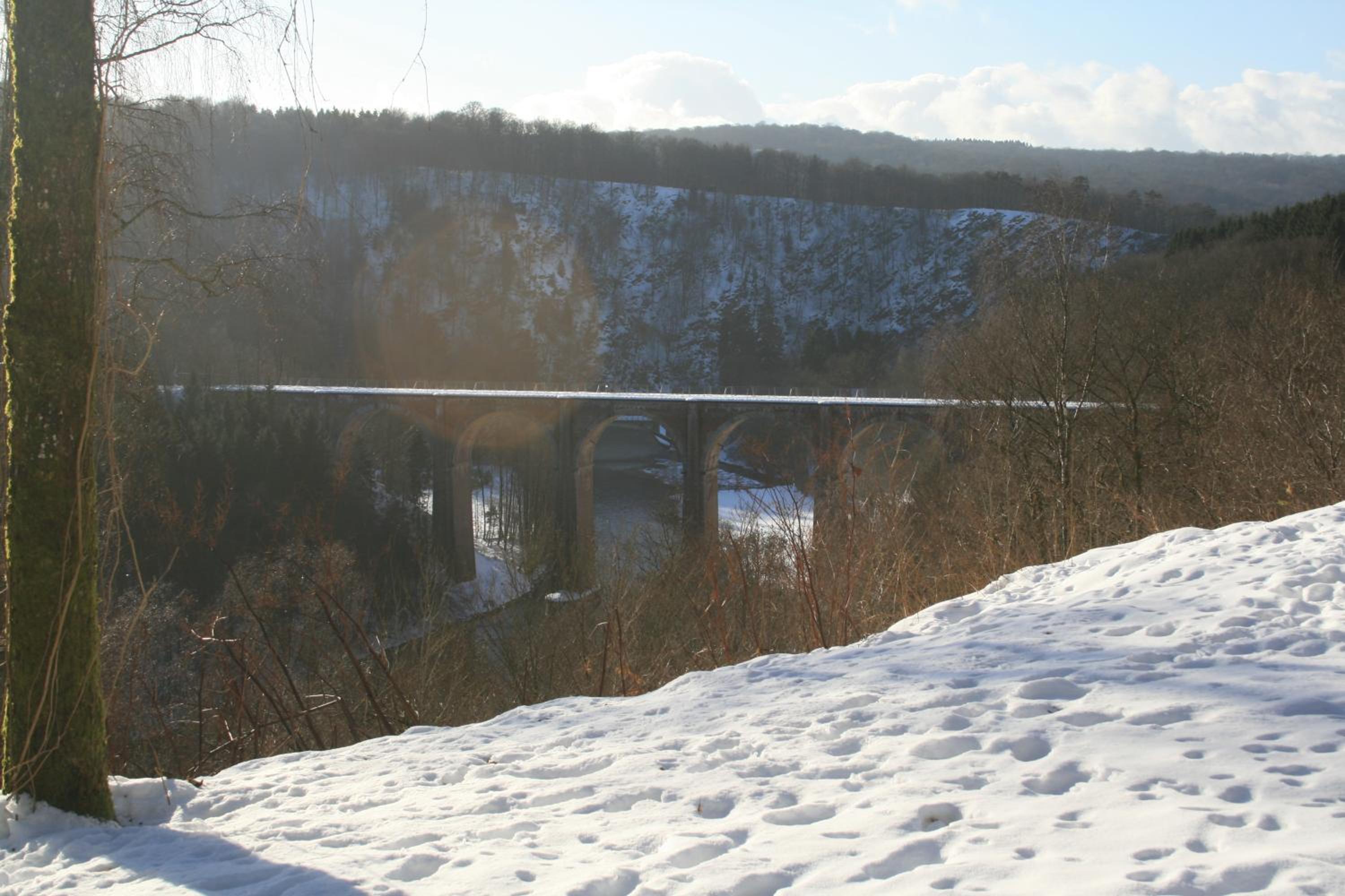 L'Eaubergerine