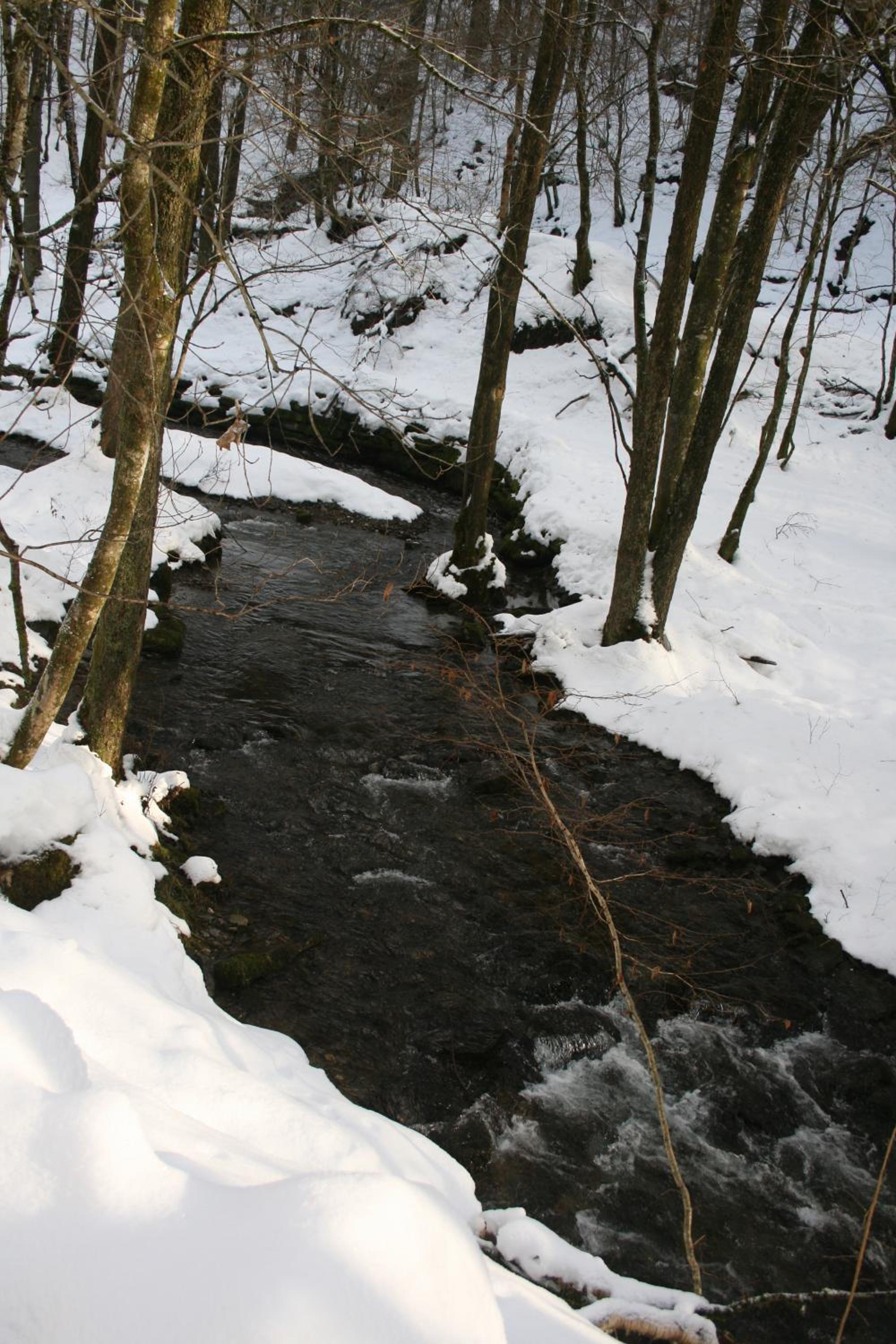 L'Eaubergerine