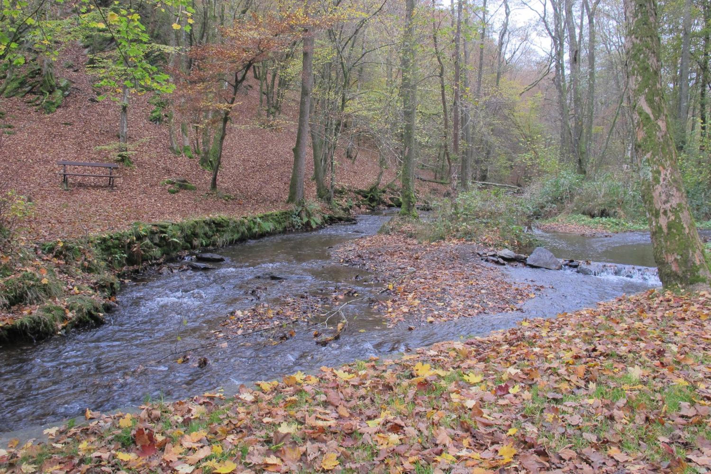 L'Eaubergerine