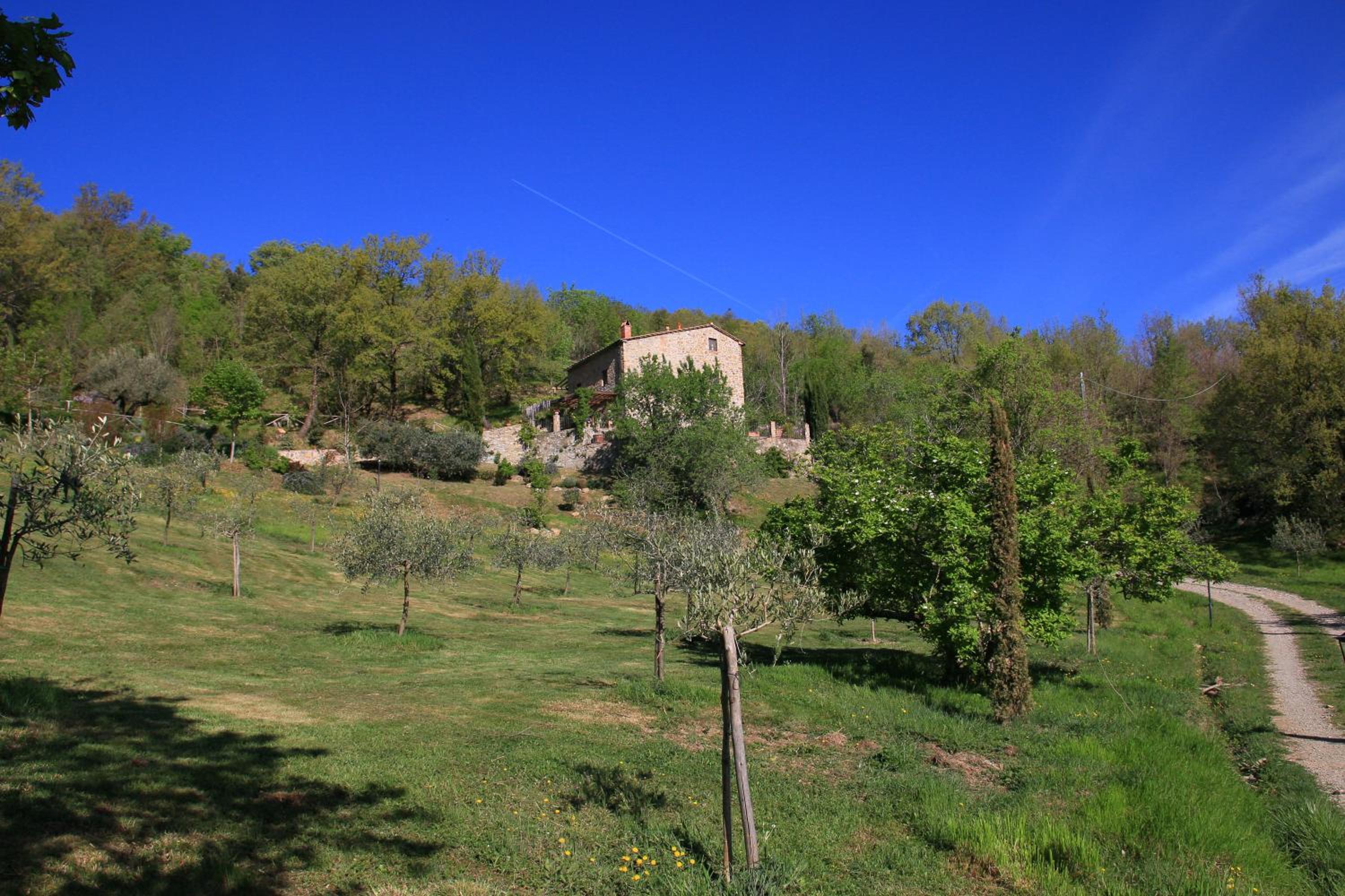Podere Piandicava view 5
