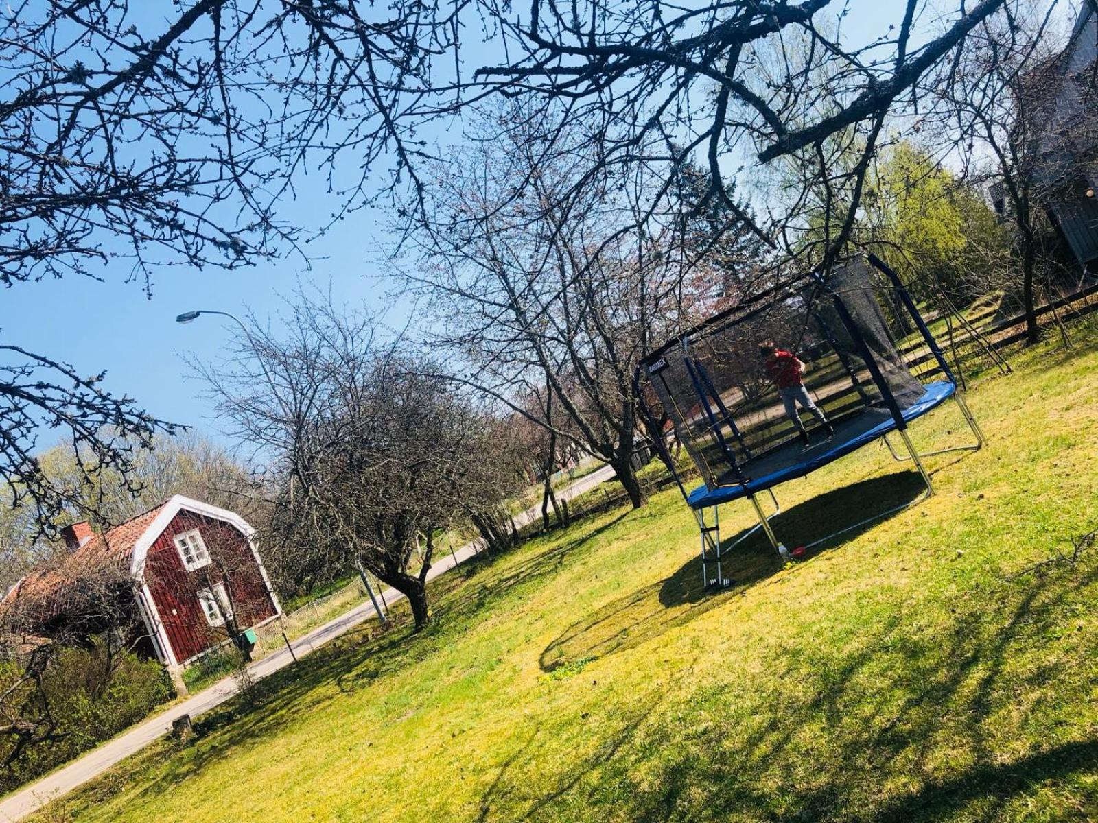 Photo 18
