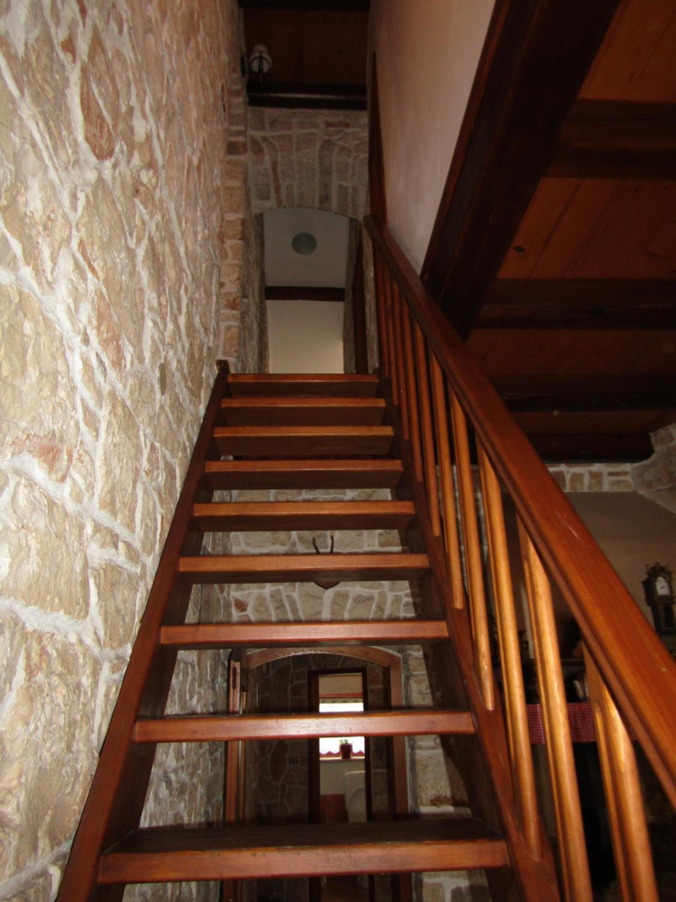 Photo 51