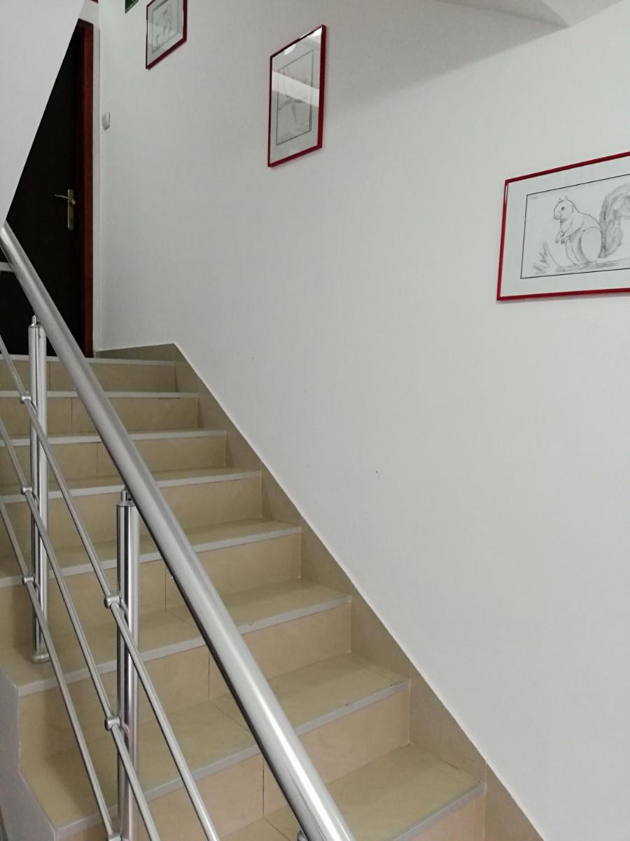 children's play area