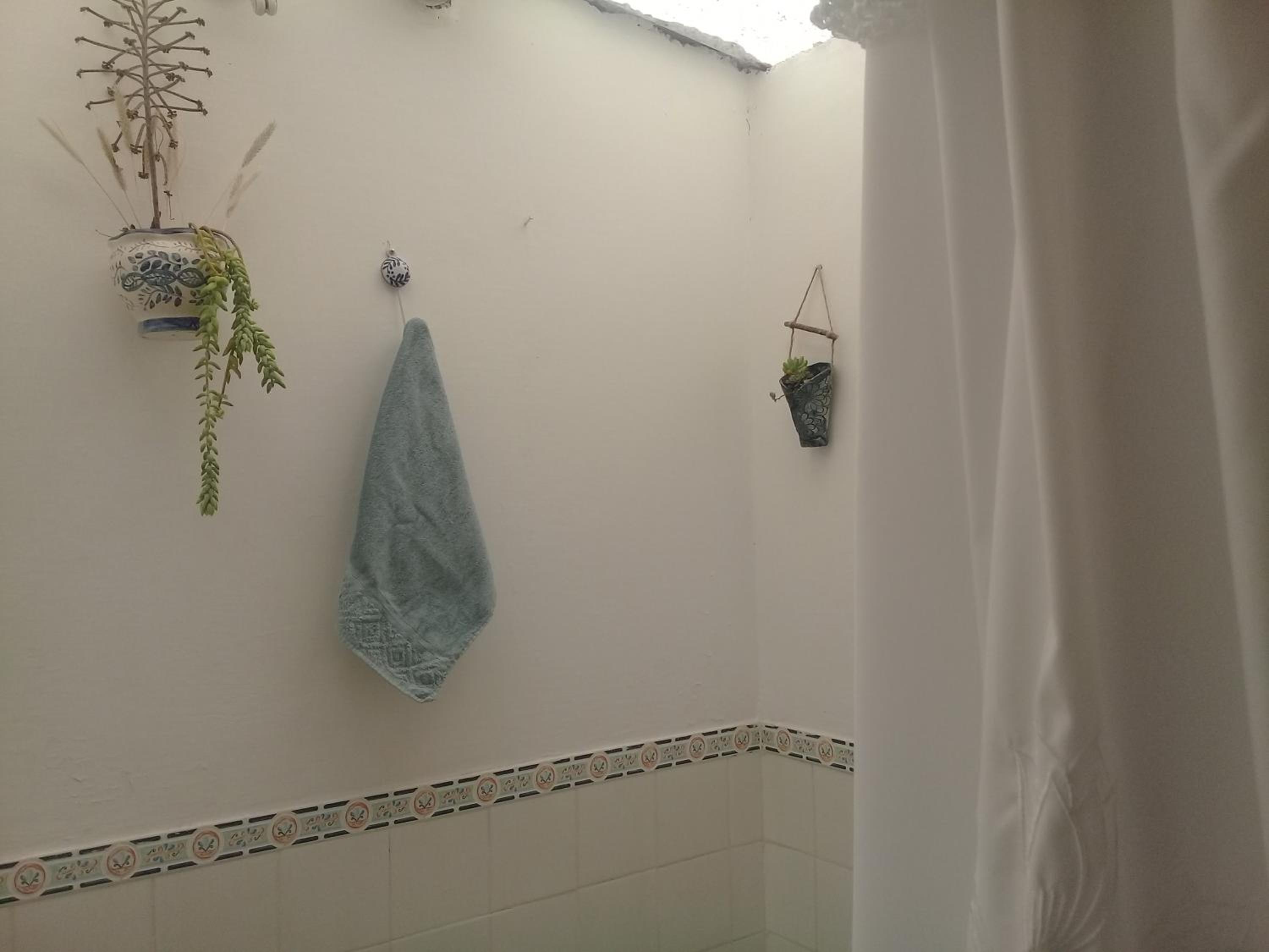 Cabaña El Cardón,casita en el campo quebradeño